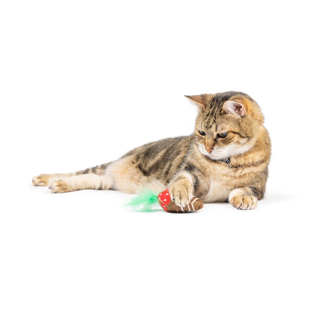 Huxley & Kent - Chocolate Strawberry Cat Toy: One Size