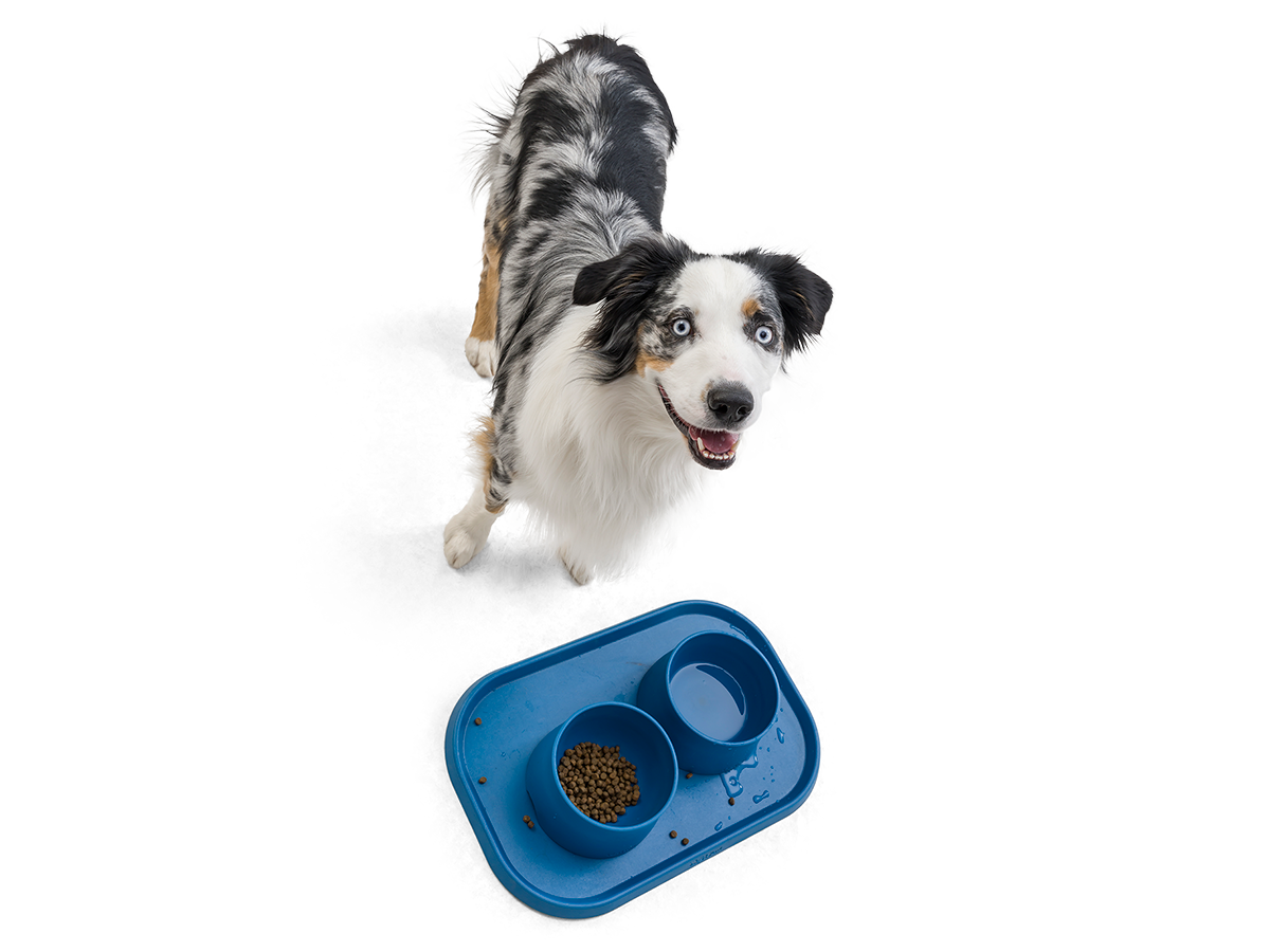 West Paw - No-Slip Dog Feeding Water Bowl: Kelp