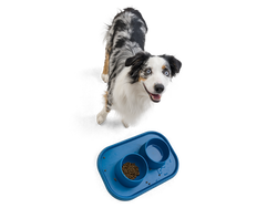 West Paw - No-Slip Dog Feeding Water Bowl: Kelp