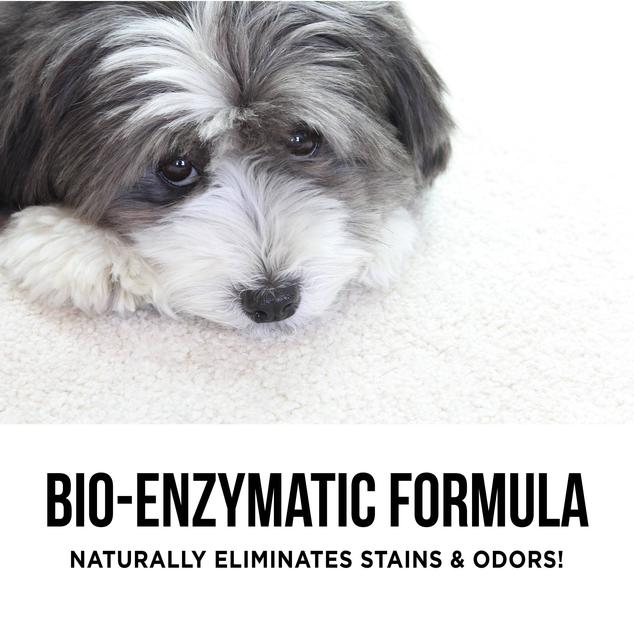 The Only Pet Stain & Odor Remover You Need: 3 ounce