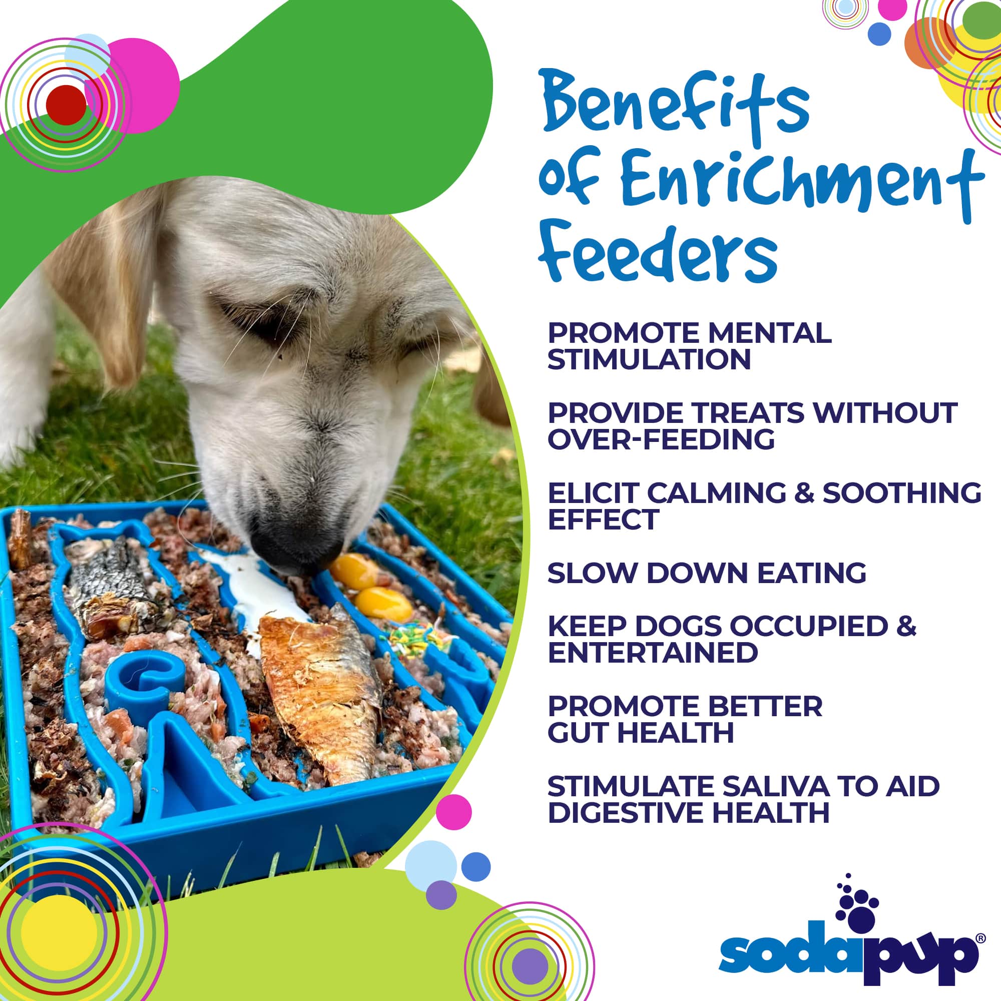 SodaPup Dog Toys - Waiting Dogs Design eTray Enrichment Tray for Dogs