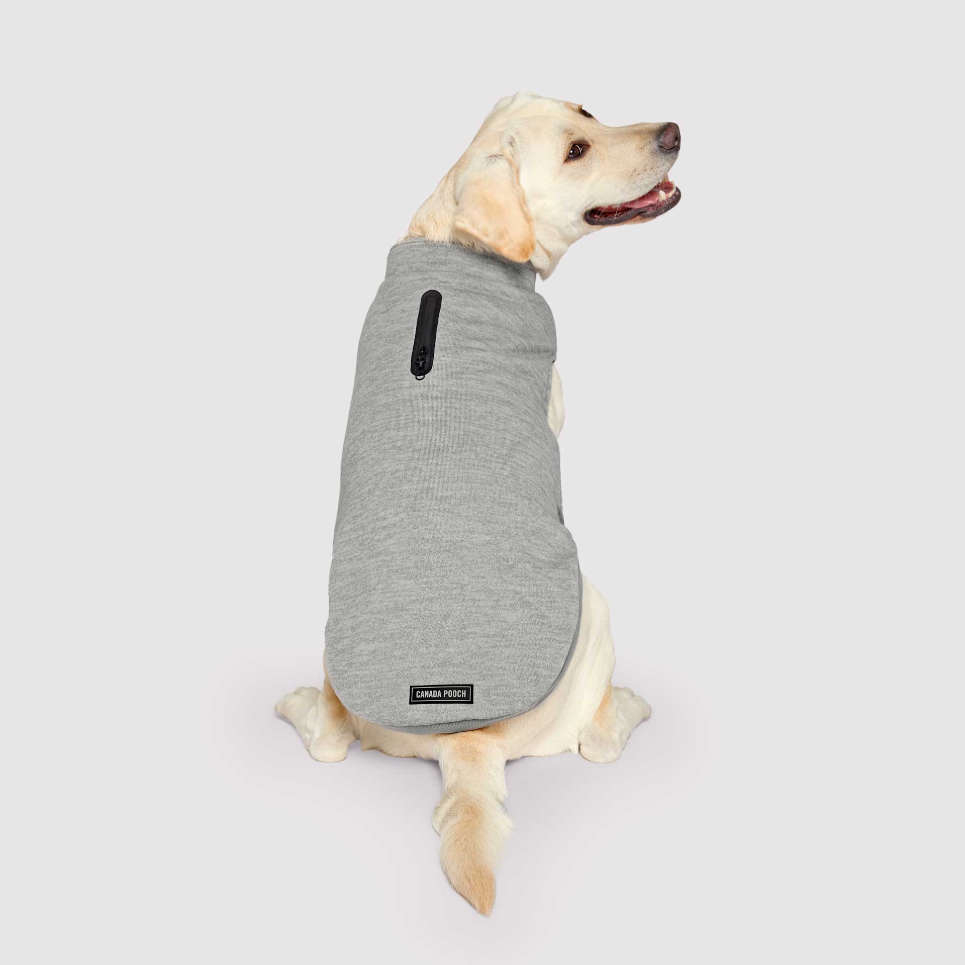 Canada Pooch - Waterproof Sweater- Dog Sweater: Gray / 12