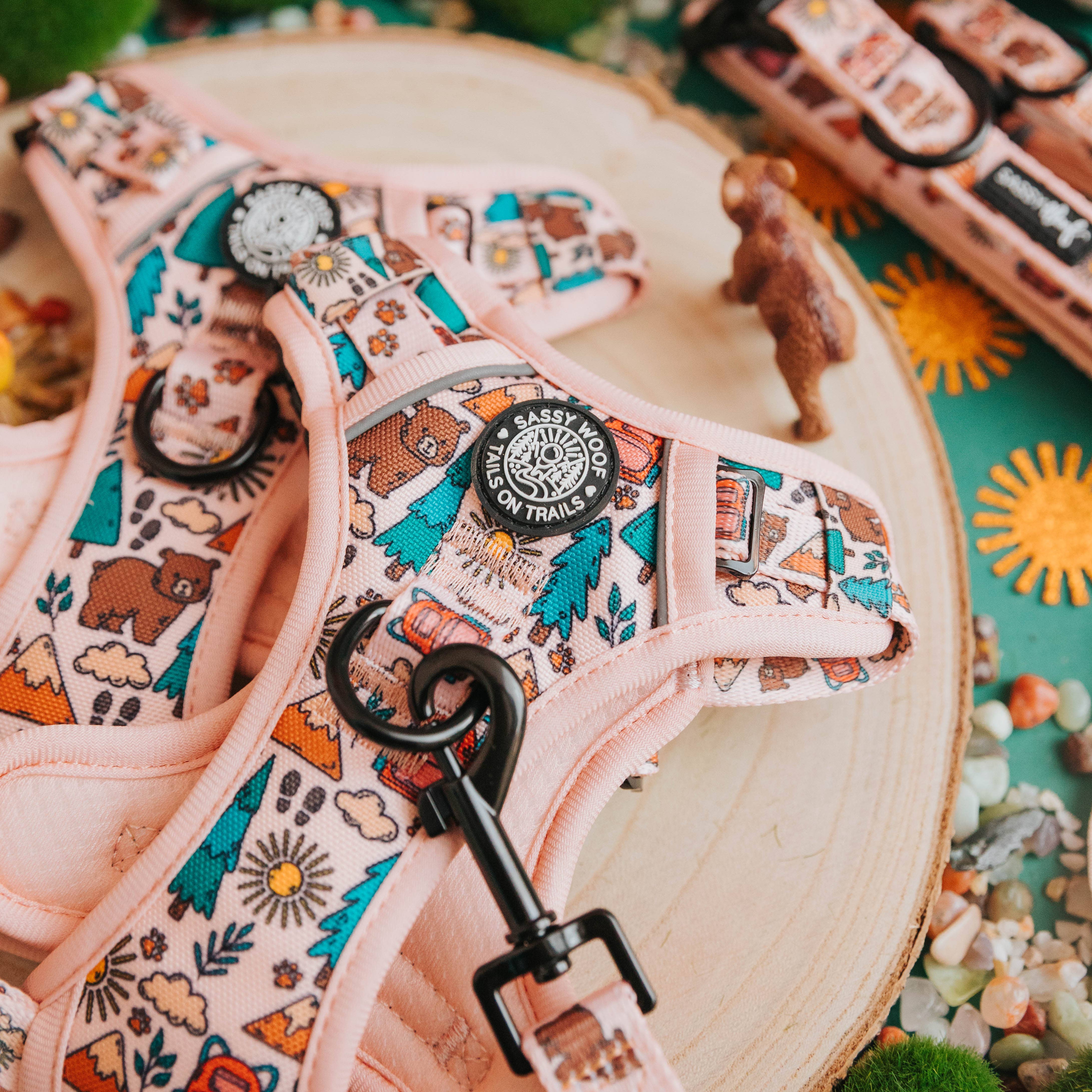 SASSY WOOF - Dog Adventure Harness - National Bark: Medium