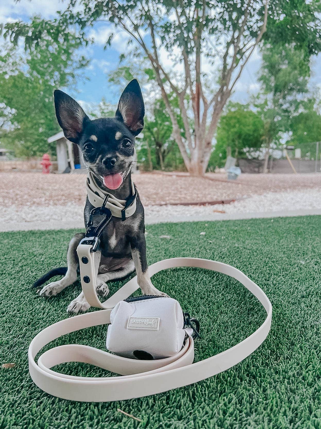 SASSY WOOF - Waterproof Dog Leash - Beige