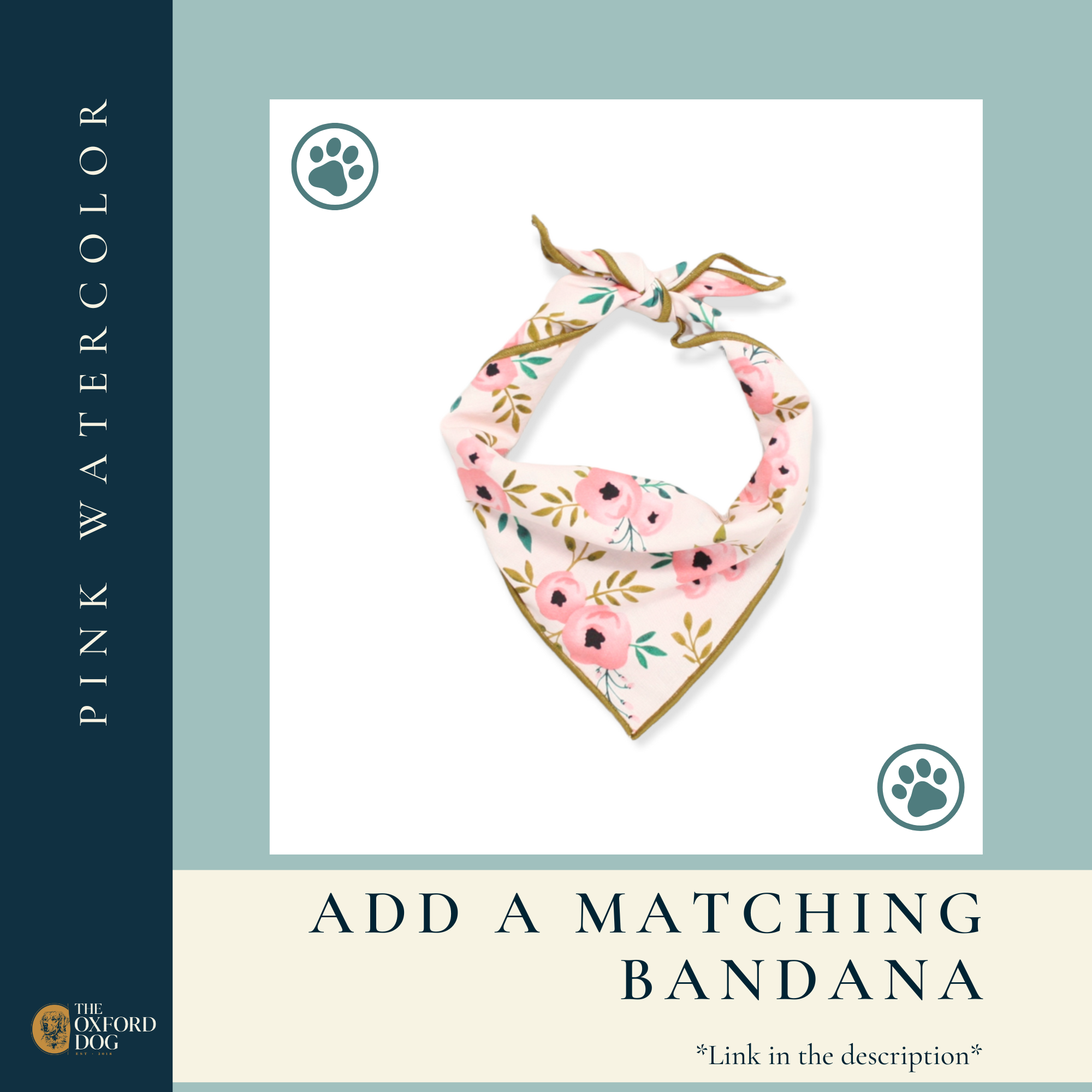 The Oxford Dog - Floral Dog Collar | Girl Dog Collar | Pink Dog Collar: XSMALL / Black Plastic