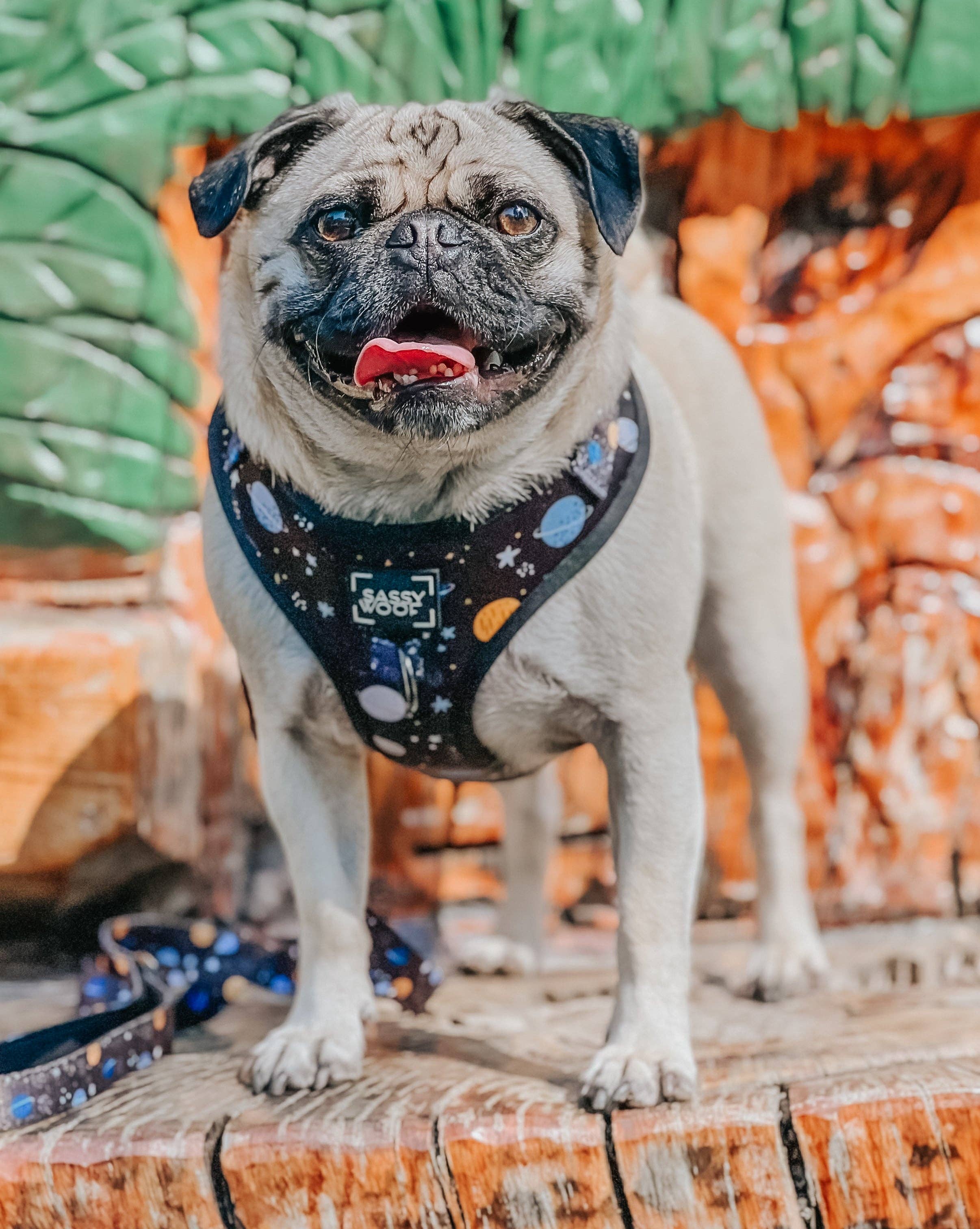 SASSY WOOF - Dog Adjustable Harness - To the Stars and Beyond: XXSmall