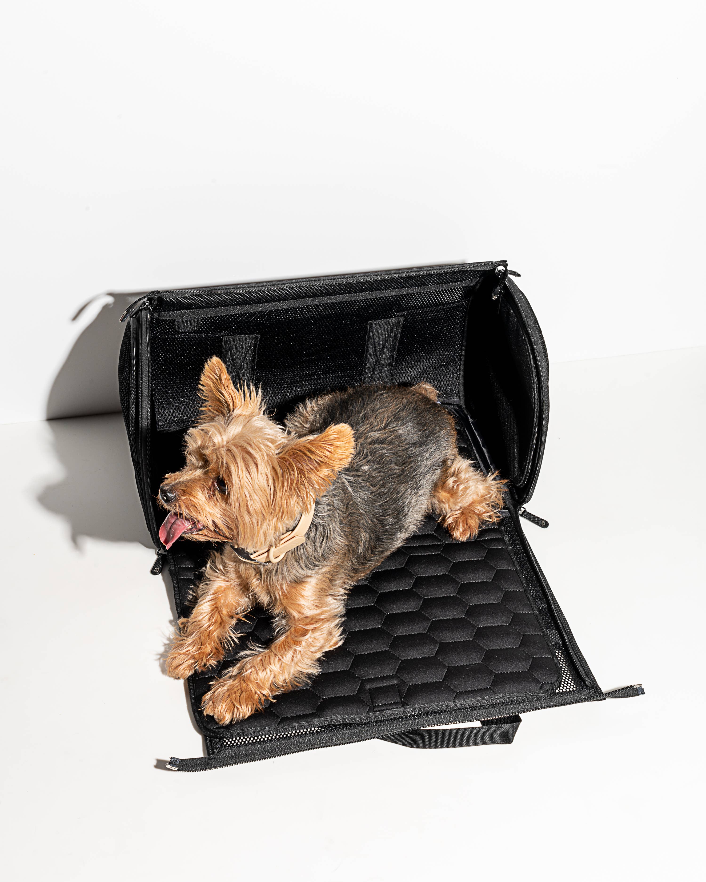 Wild One - Travel TSA Compliant Pet Dog Carrier: Black