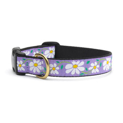 Up Country, Inc. - Daisy Dog Collar: Small / Narrow