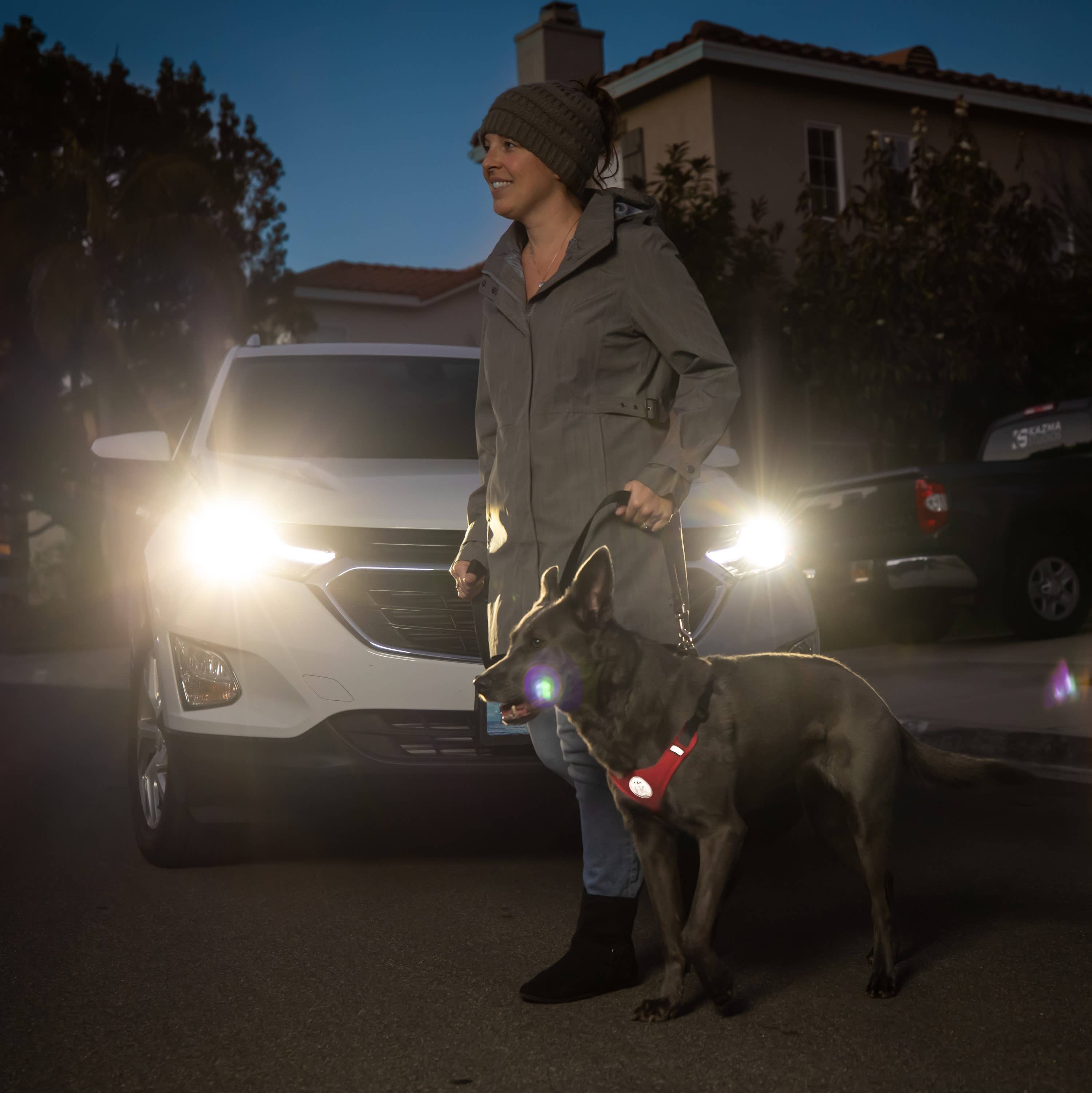 Huxley & Kent - Scout LoPro Harness Raspberry: XS (4-8lbs)