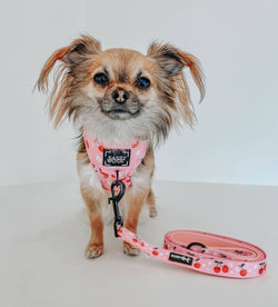 SASSY WOOF - Dog Adjustable Harness - Mon Cherry: XS