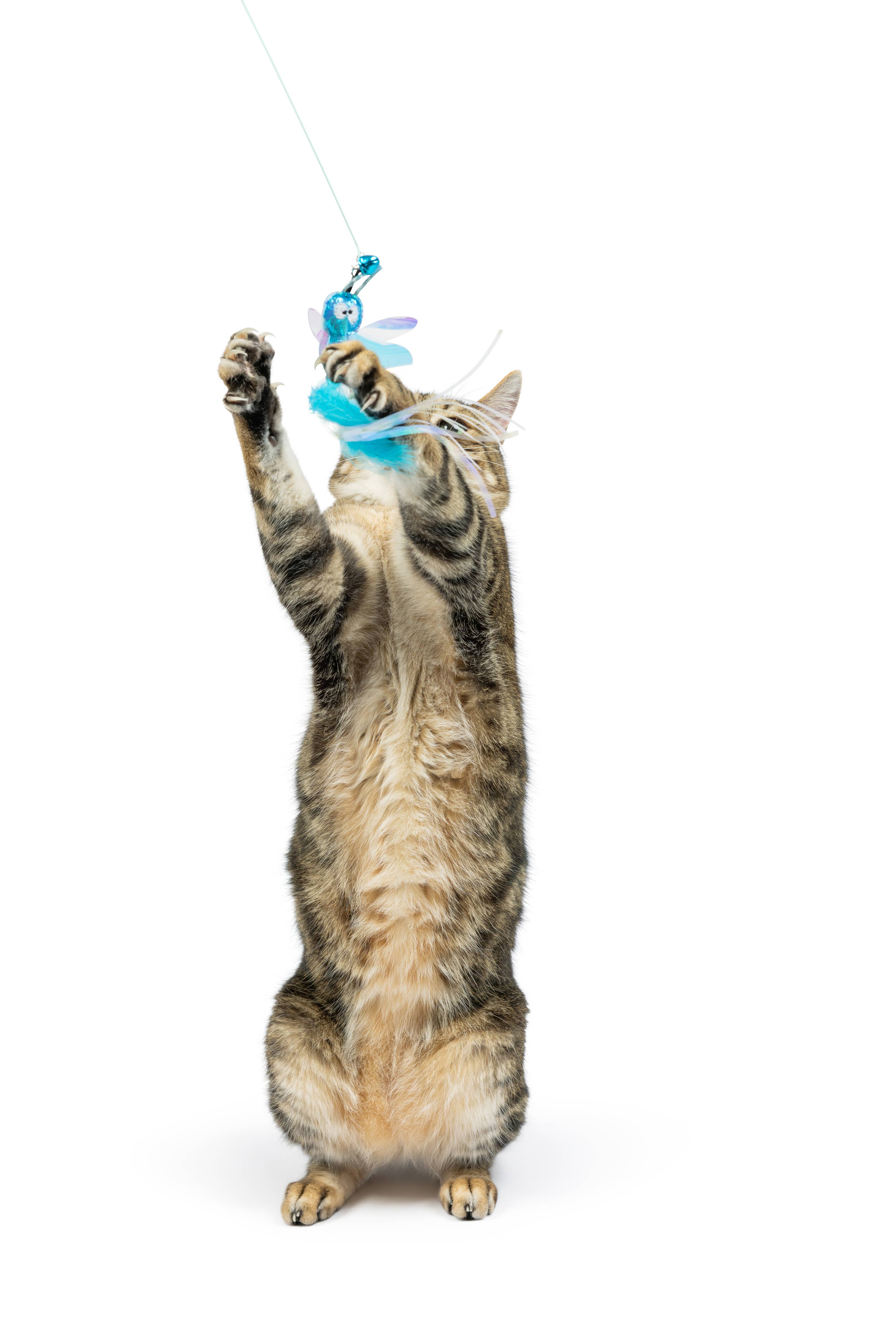 Huxley & Kent - Wire Dragonfly & Mouse Wand Cat Toy: One Size