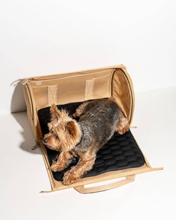 Wild One - Travel TSA Compliant Pet Dog Carrier: Spruce