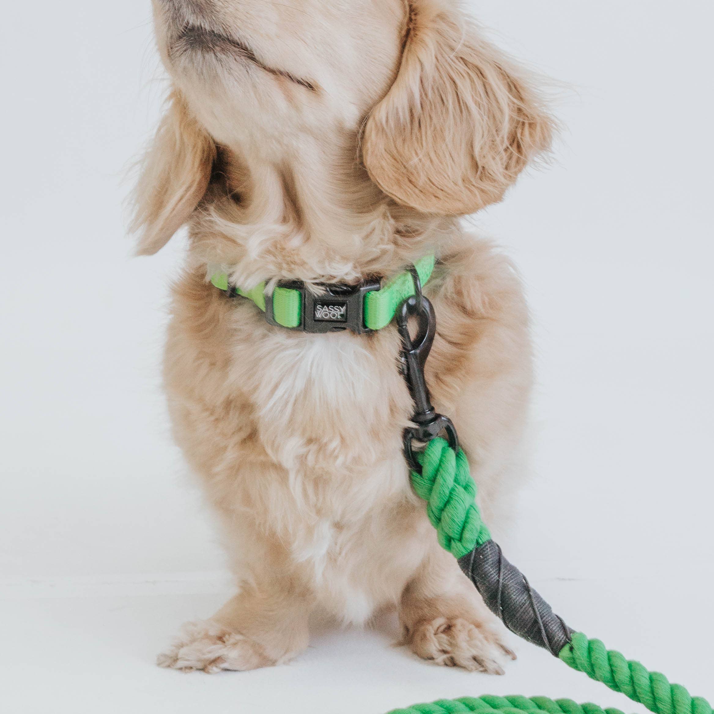 SASSY WOOF - Dog Rope Leash - Neon Green