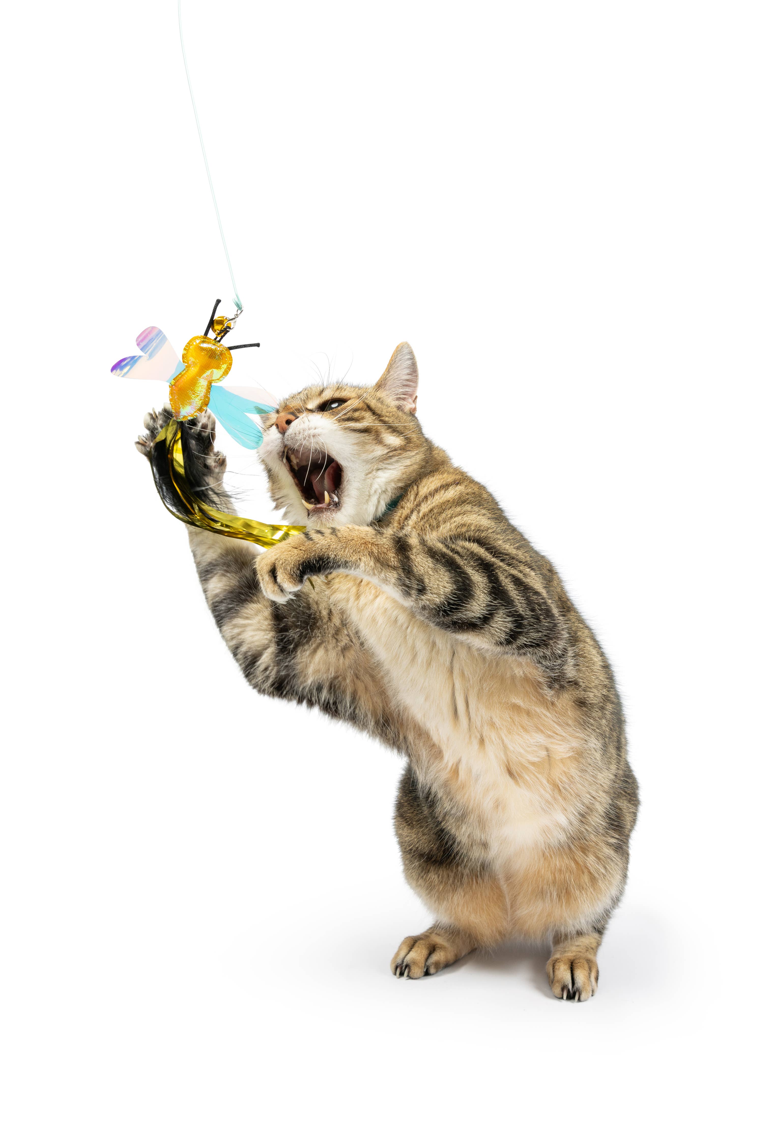 Huxley & Kent - Buzz Bee Streamers 2pk Refill Cat Toy: One Size