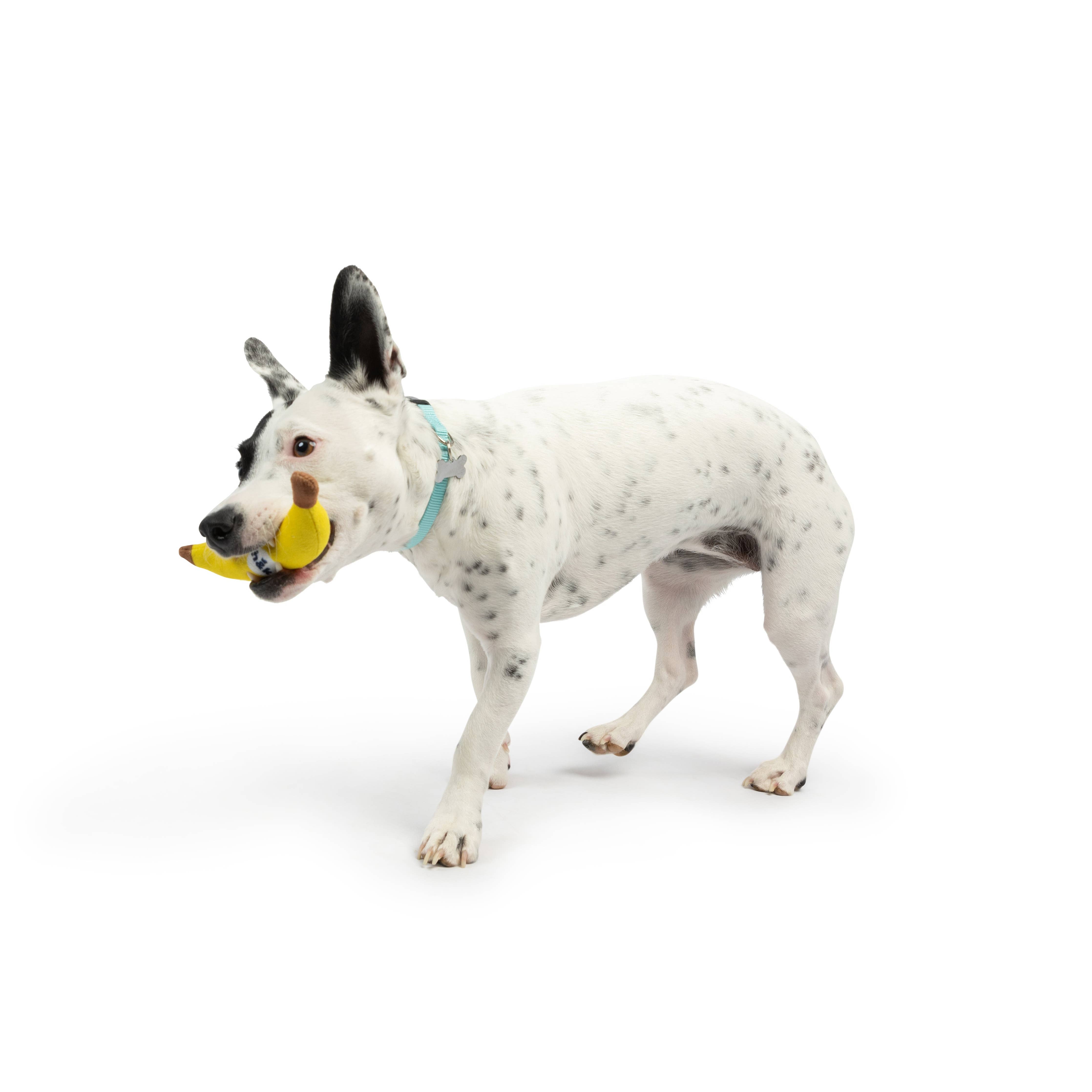 Huxley & Kent - Tiny Tuff Bruiser Banana: One Size