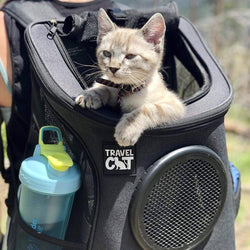 Travel Cat | Your Cat Backpack - "The Fat Cat" Cat Backpack For Large Cats - Bubble Carrier