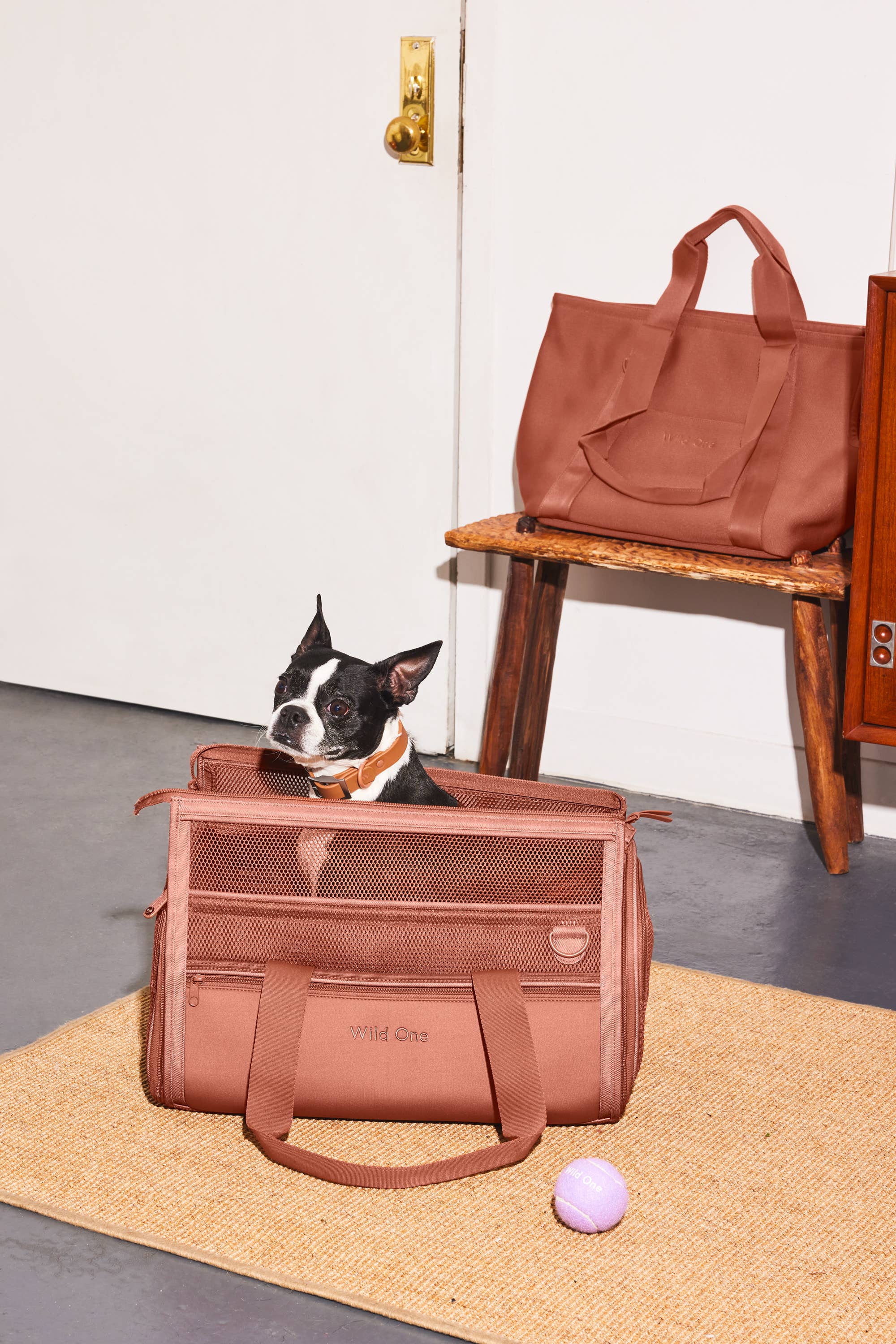 Wild One - Travel TSA Compliant Pet Dog Carrier: Tan