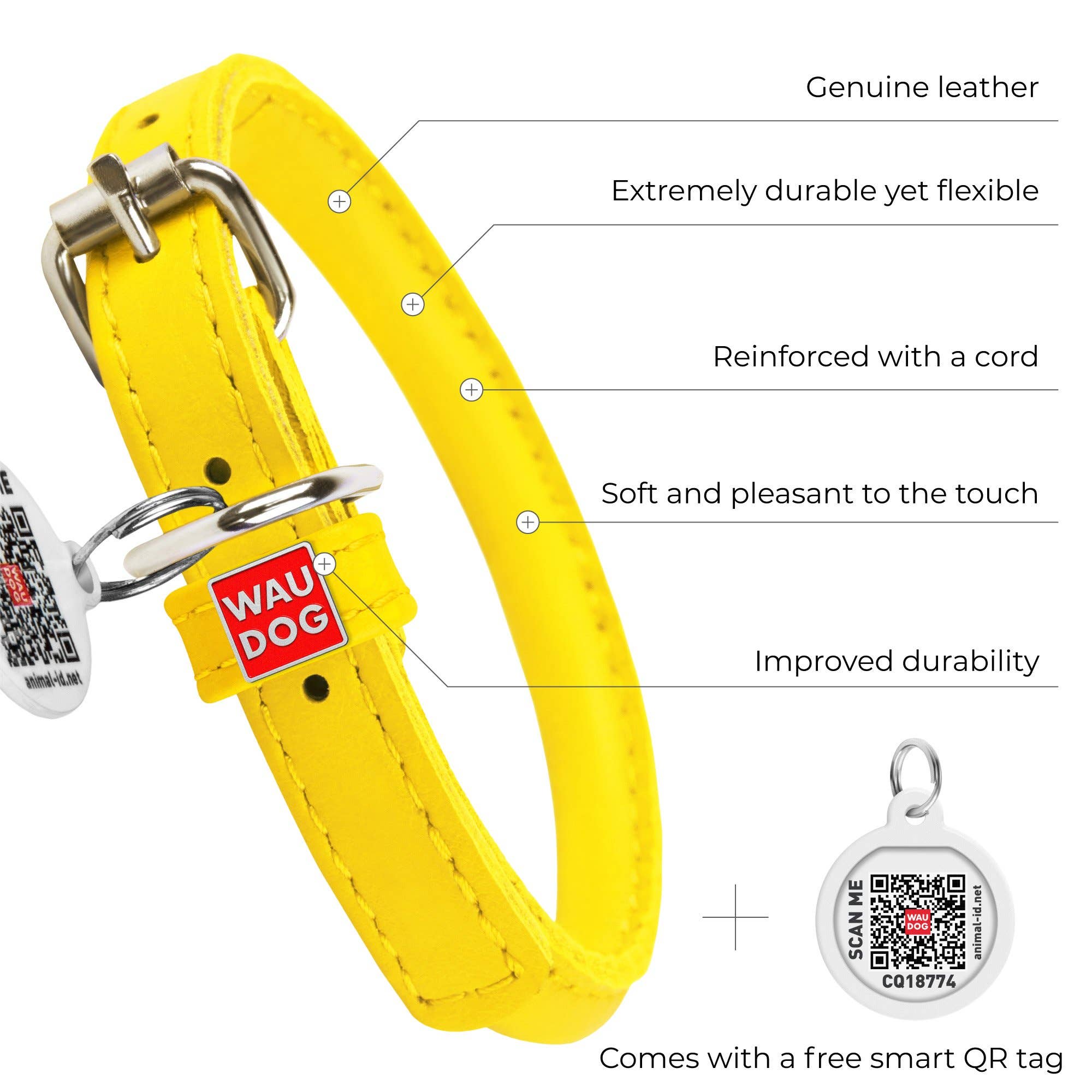 WAUDOG - Glamour Reinforced Rolled Leather Collar With Metal Clasp: XS (XXXS) 8 in / Black