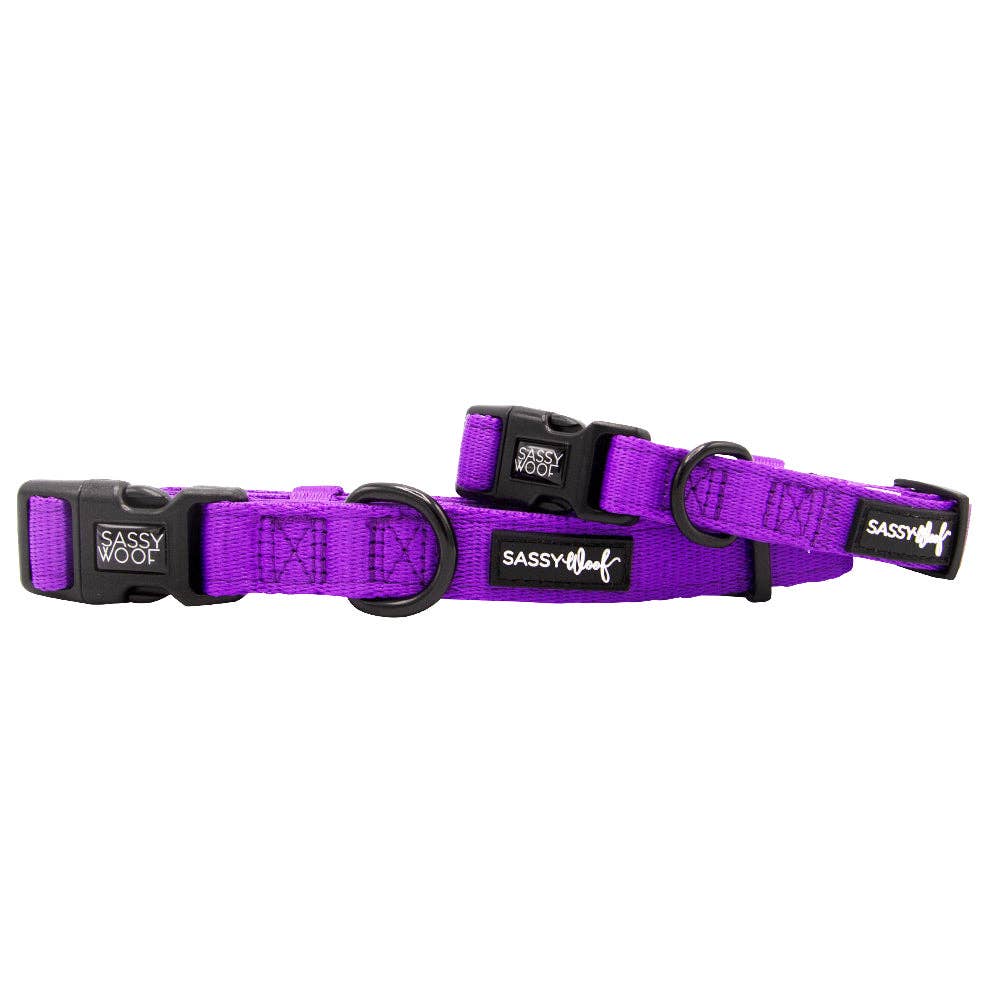 SASSY WOOF - Dog Collar - Neon Purple: Large