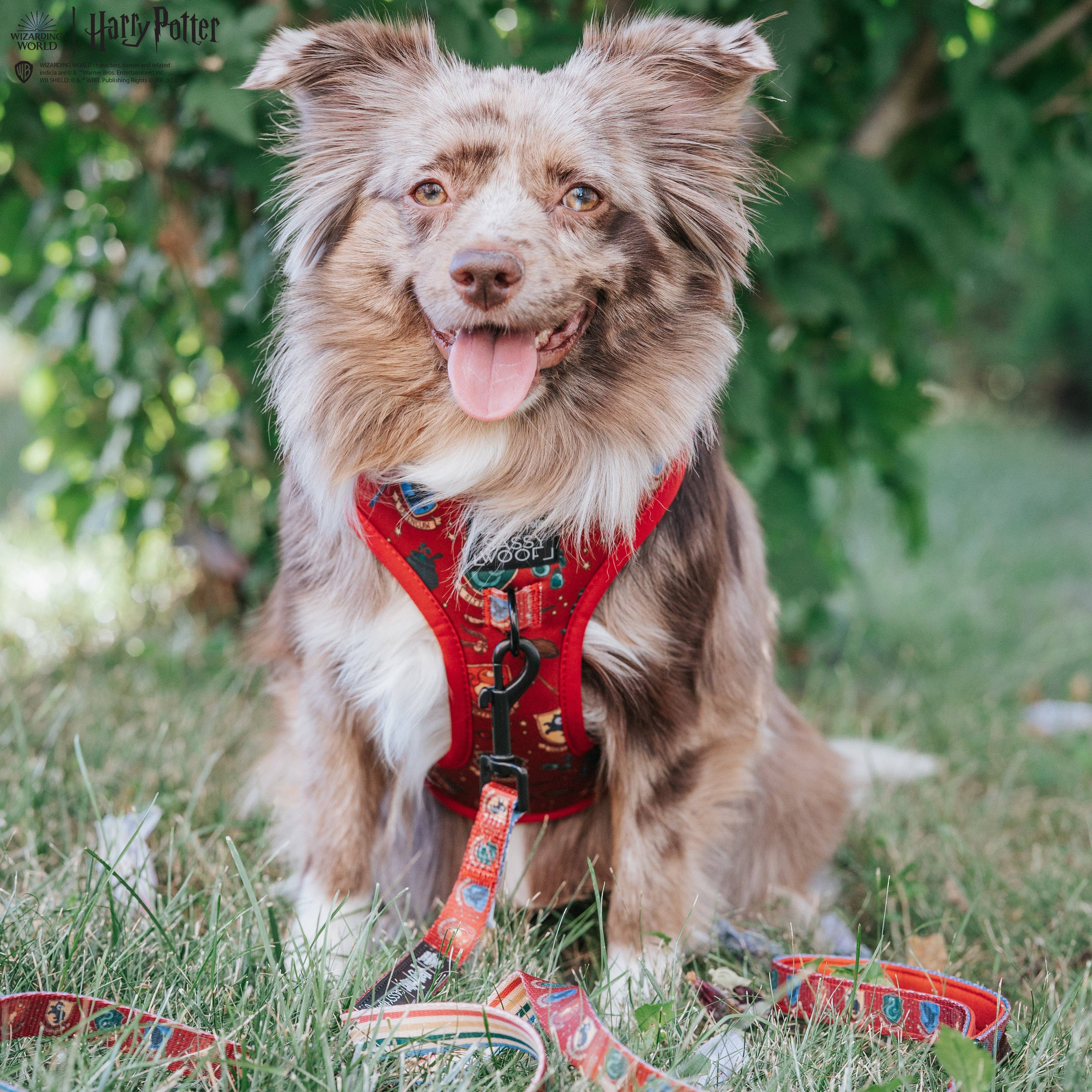 SASSY WOOF - Dog Leash - Harry Potter™