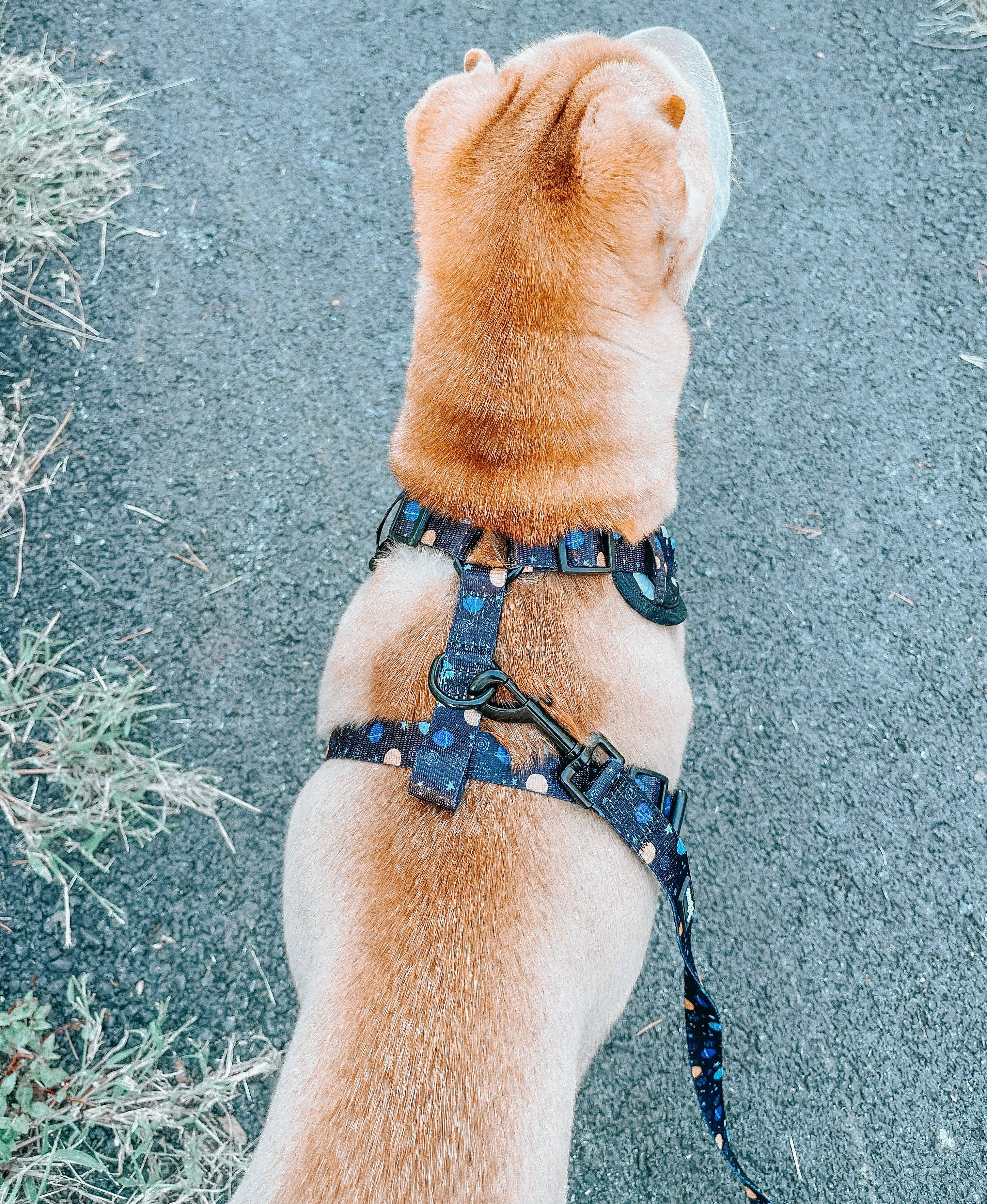 SASSY WOOF - Dog Adjustable Harness - To the Stars and Beyond: XXSmall