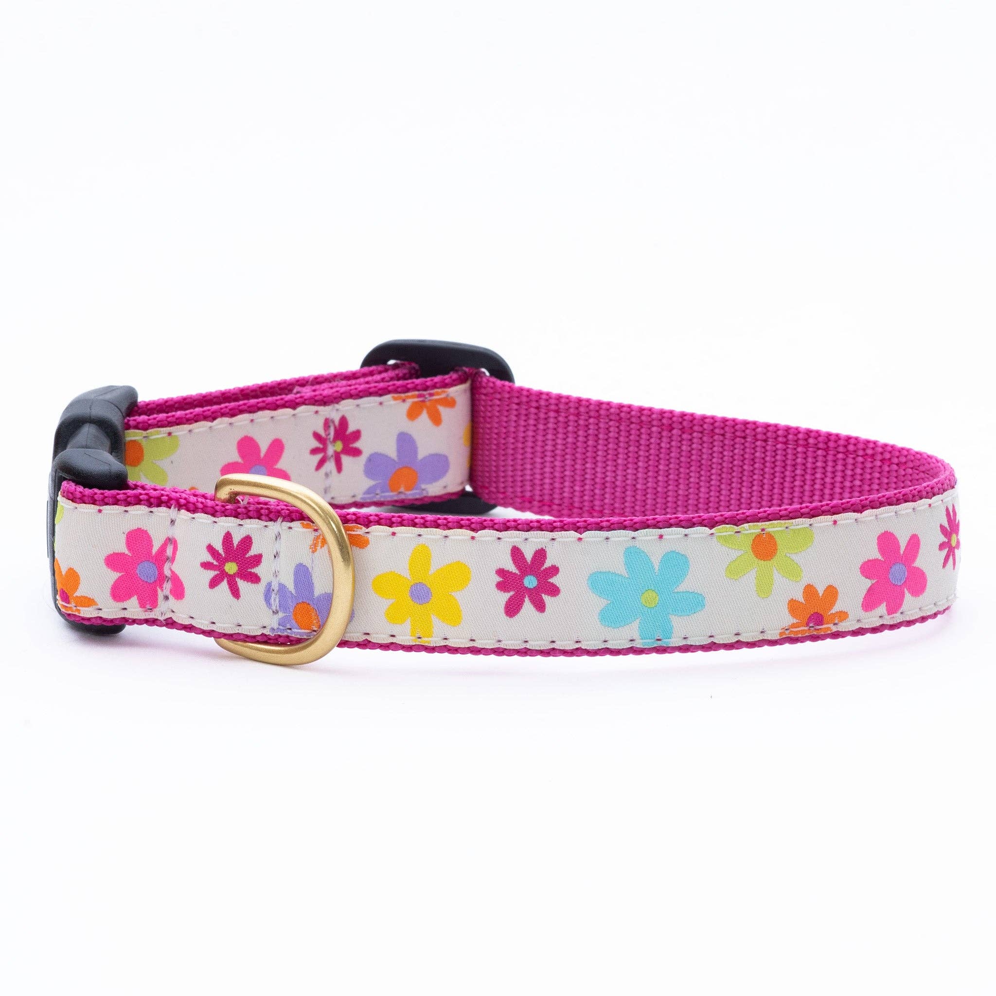 Up Country, Inc. - Spring Fever Dog Collar: XS / Narrow