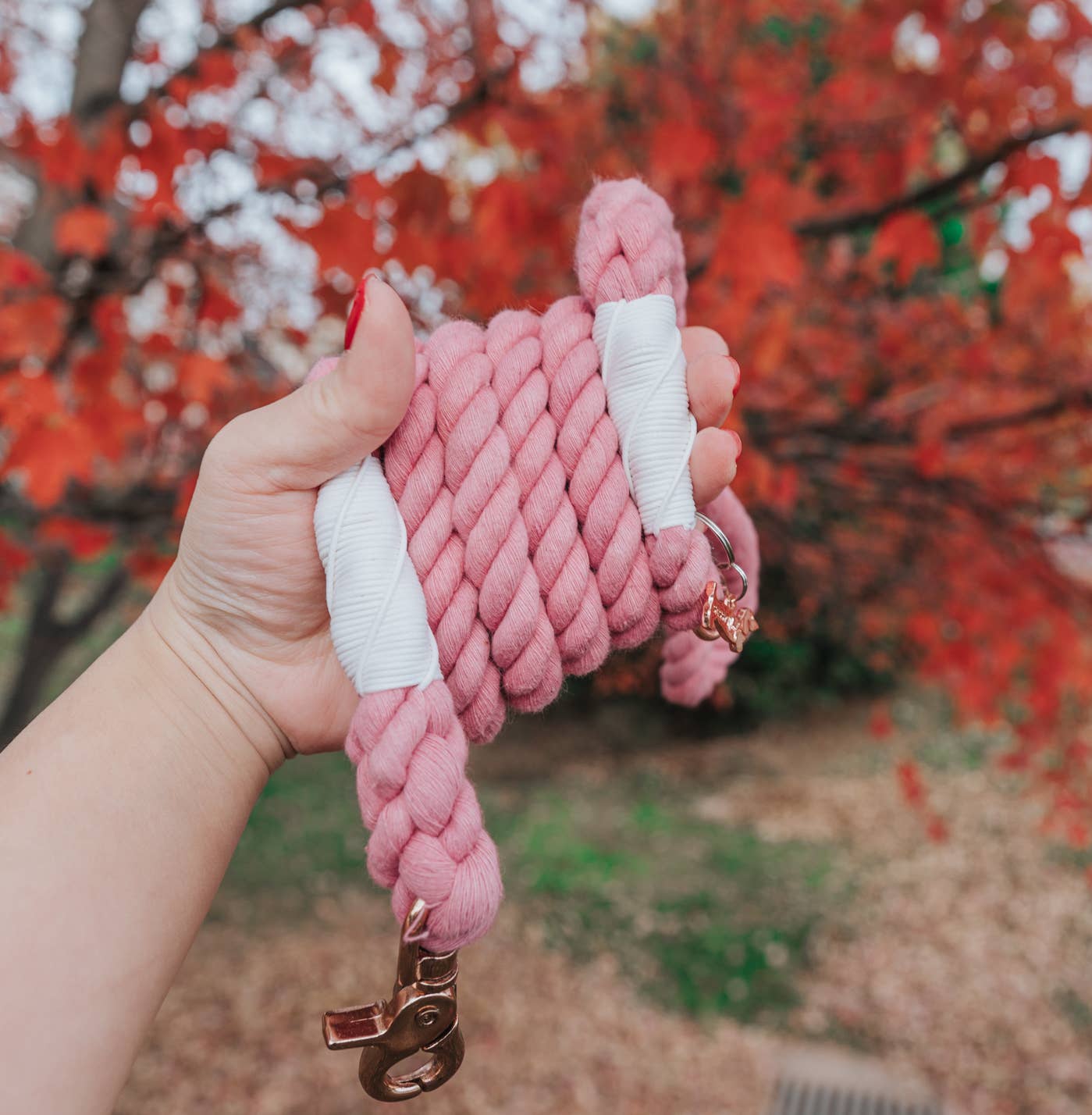 SASSY WOOF - Dog Rope Leash - Cotton Candy