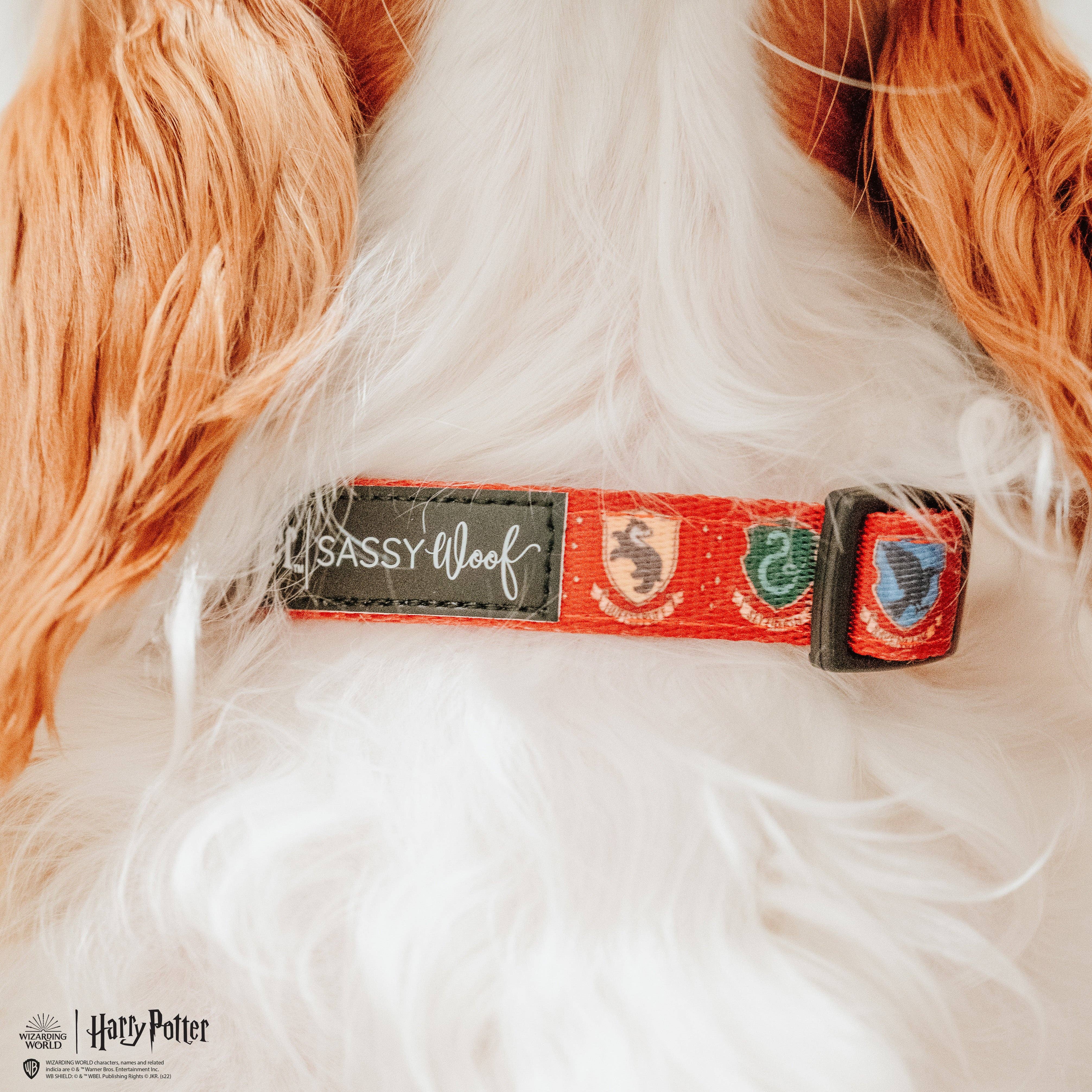 SASSY WOOF - Dog Collar - Harry Potter™: Small