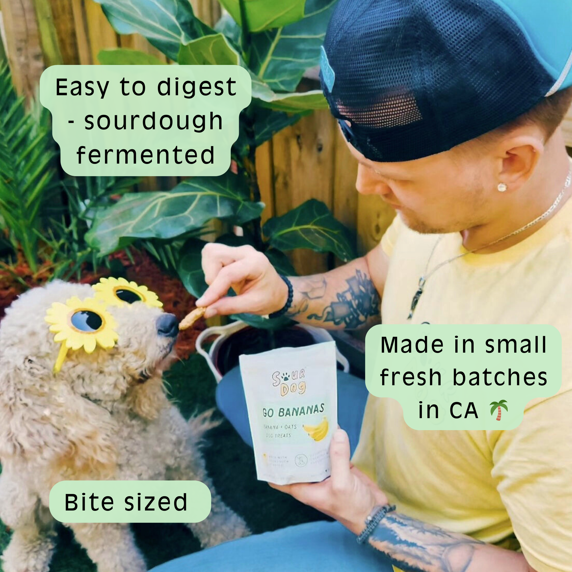 SourDog - Go Bananas - Banana Sourdough Dog Treats