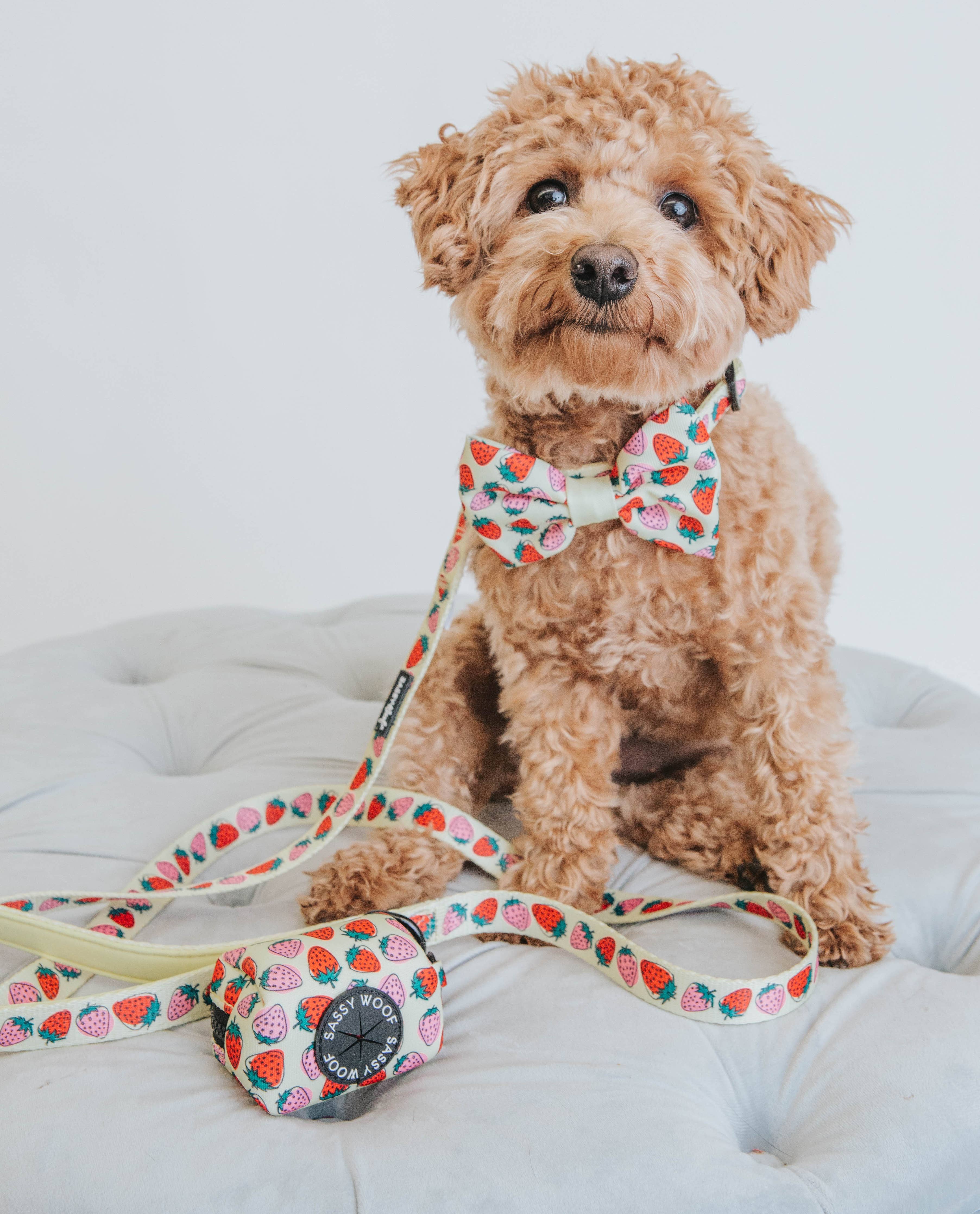SASSY WOOF - Dog Leash - Strawberry Fields Furever