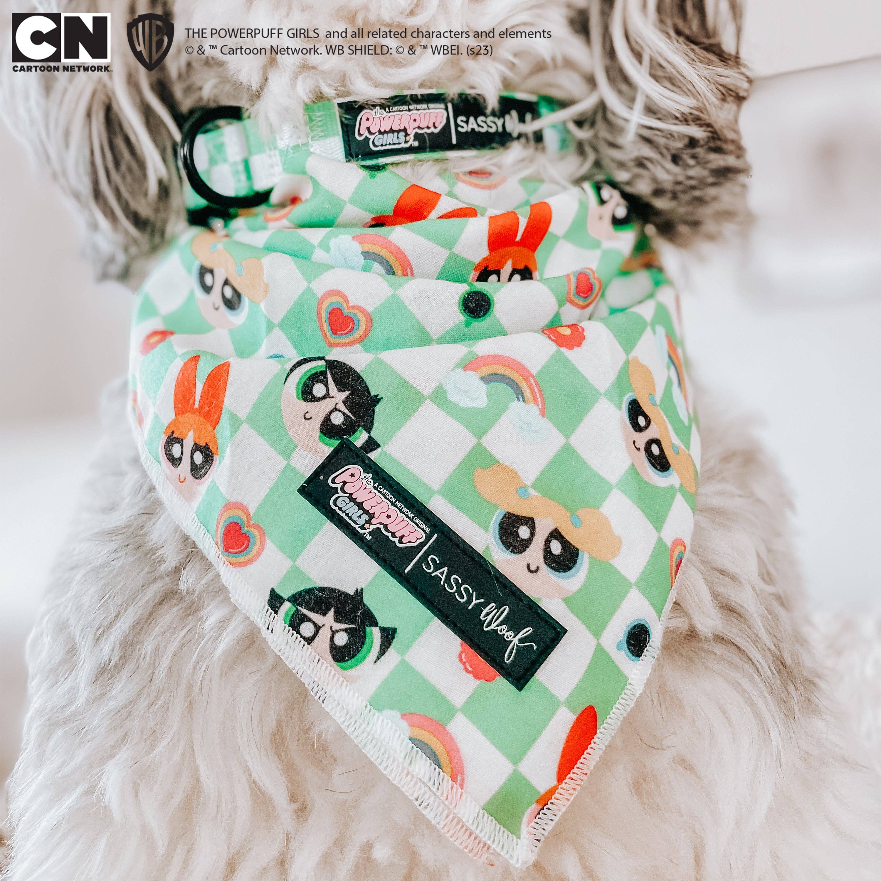 SASSY WOOF - Dog Collar - The Powerpuff Girls™ (Green): Small