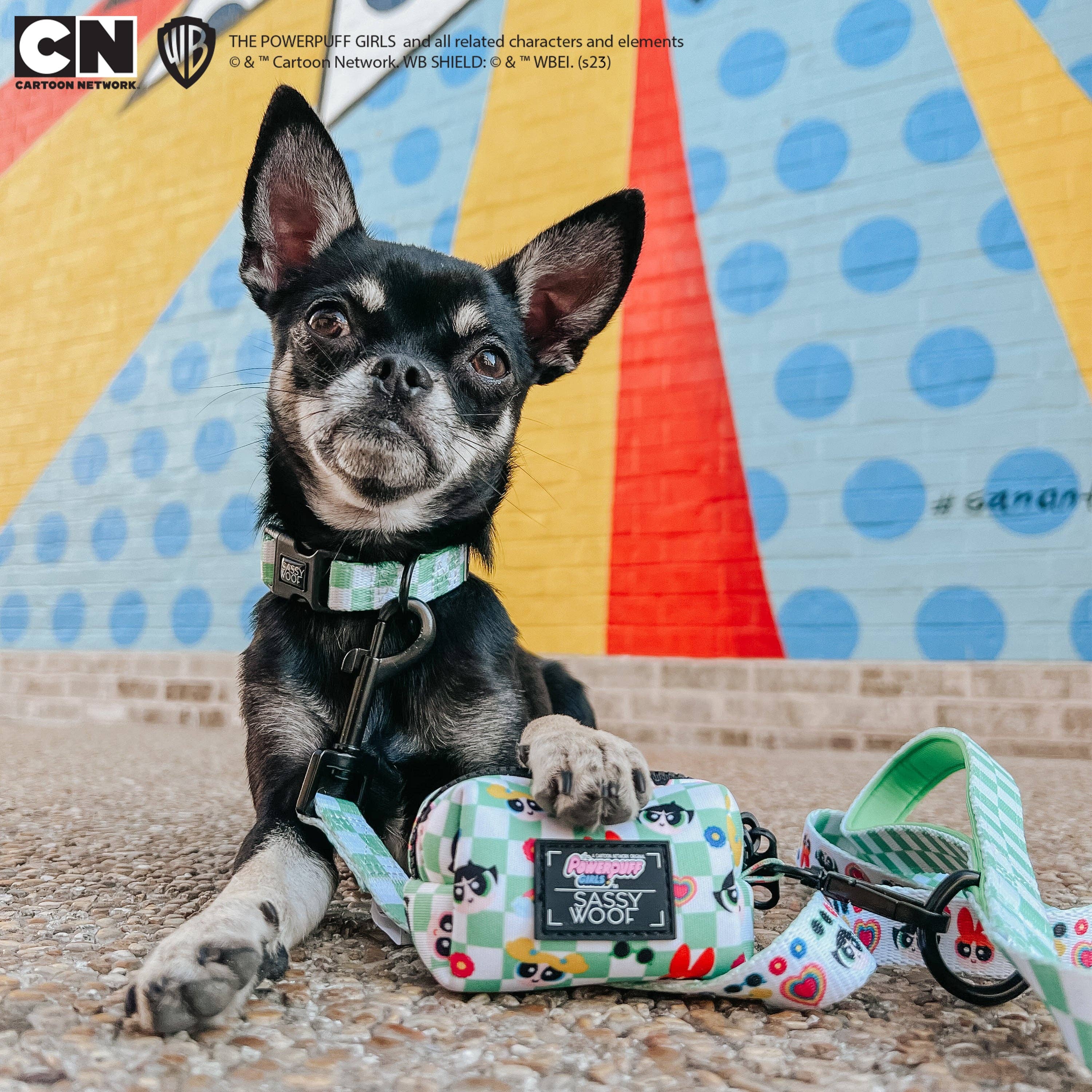 SASSY WOOF - Dog Collar - The Powerpuff Girls™ (Green): Small