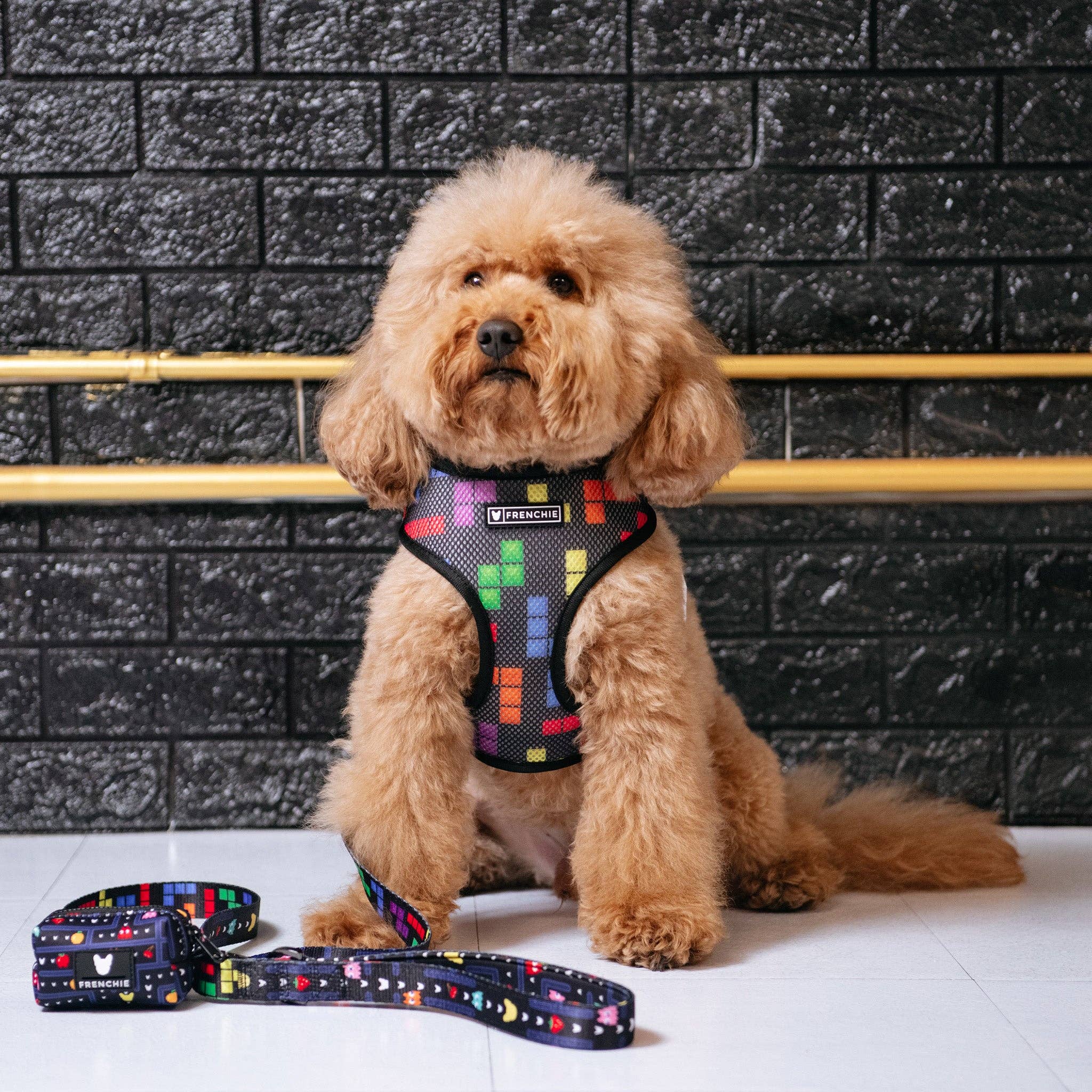 Frenchie - Frenchie Duo Reversible Harness - Arcade: M