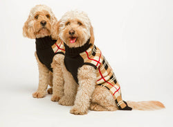 fabdog - Plaid Dog Sweater: 8 "