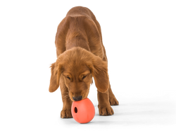 West Paw - Rumbl® Puzzle Treat-Dispensing Enrichment Dog Toy: L / Melon