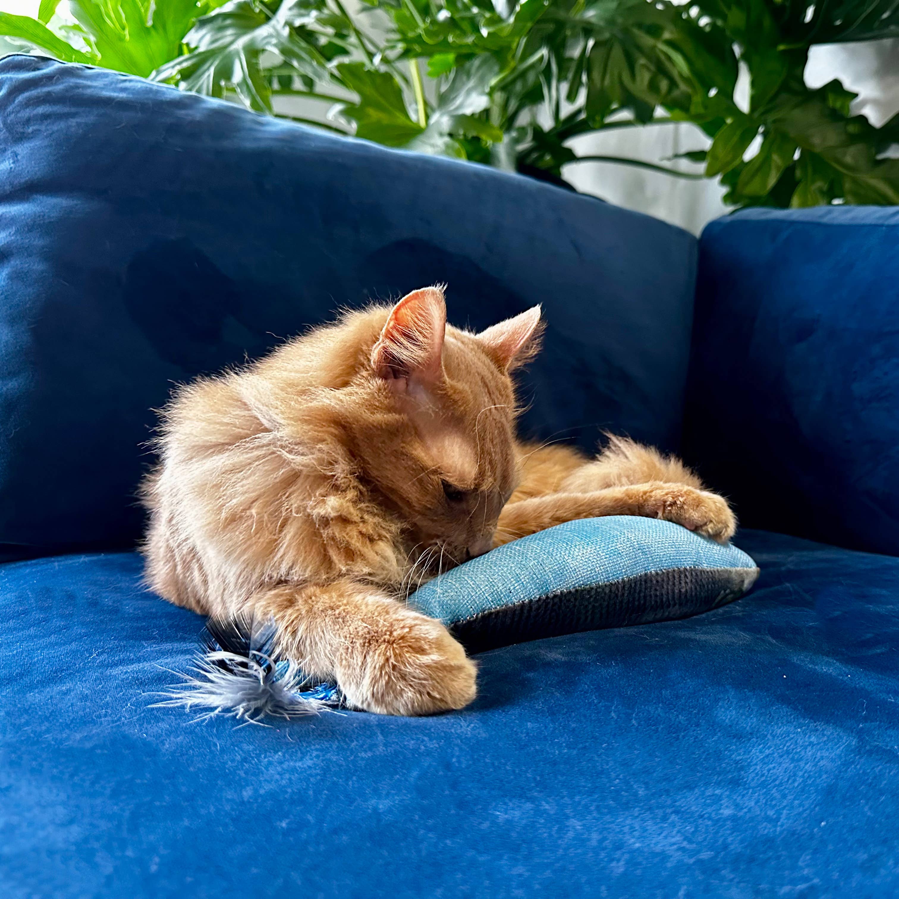 Huxley & Kent - Sardine Kicker Cat Toy: One Size