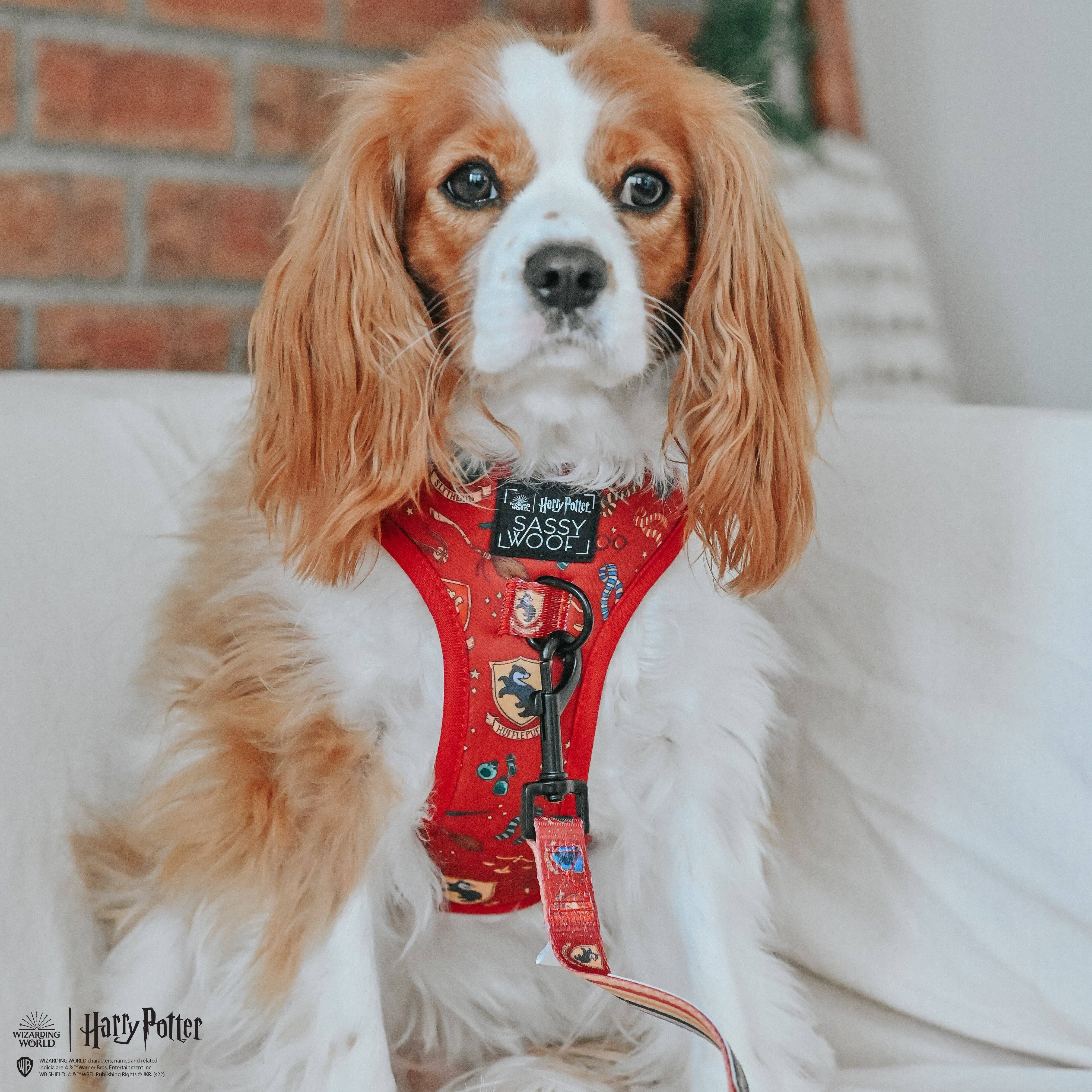 SASSY WOOF - Dog Leash - Harry Potter™