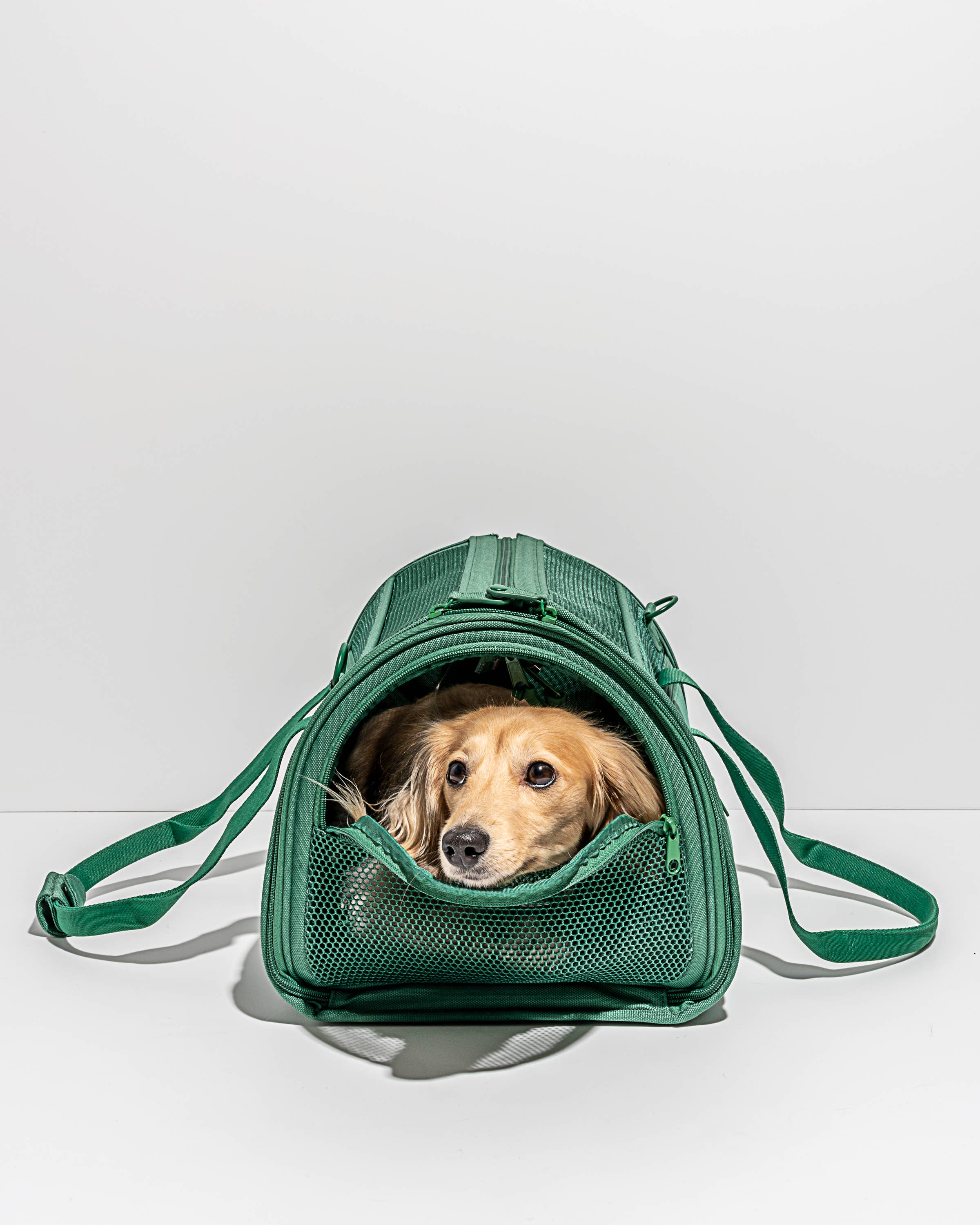 Wild One - Travel TSA Compliant Pet Dog Carrier: Tan