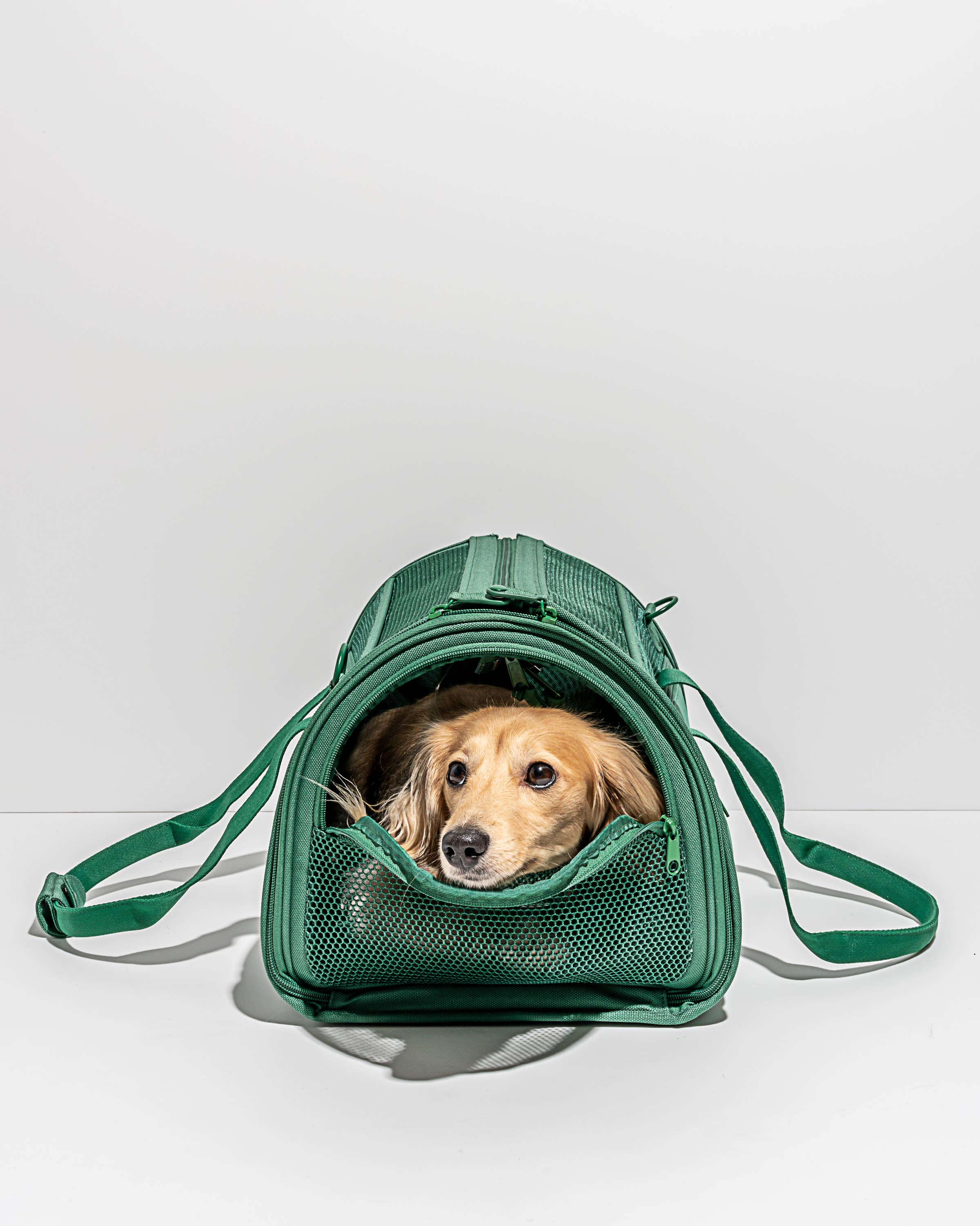 Wild One - Travel TSA Compliant Pet Dog Carrier: Spruce