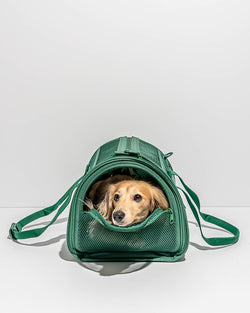 Wild One - Travel TSA Compliant Pet Dog Carrier: Spruce