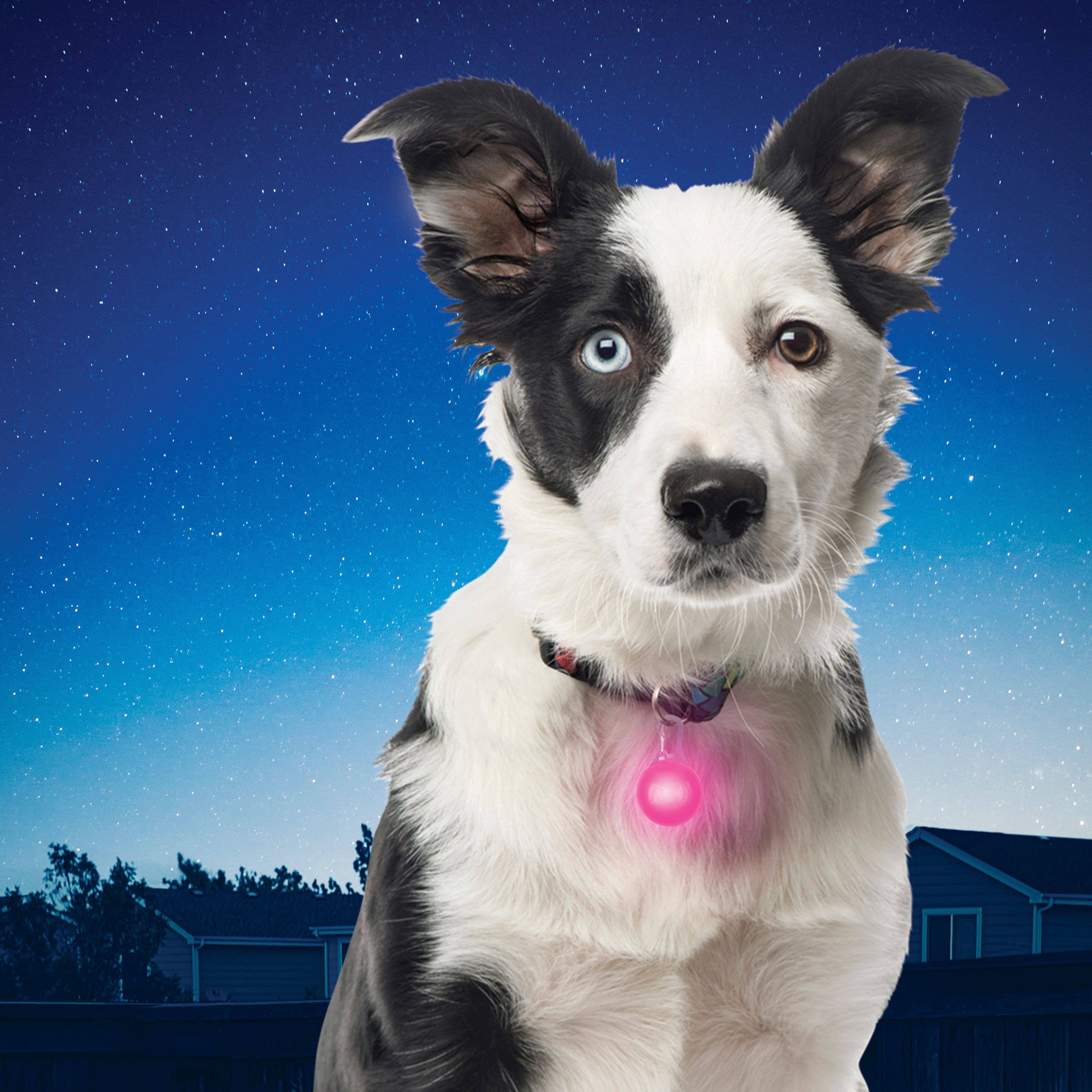 Pet Palette Distribution - Nite Ize SpotLit Collar Light - Pink