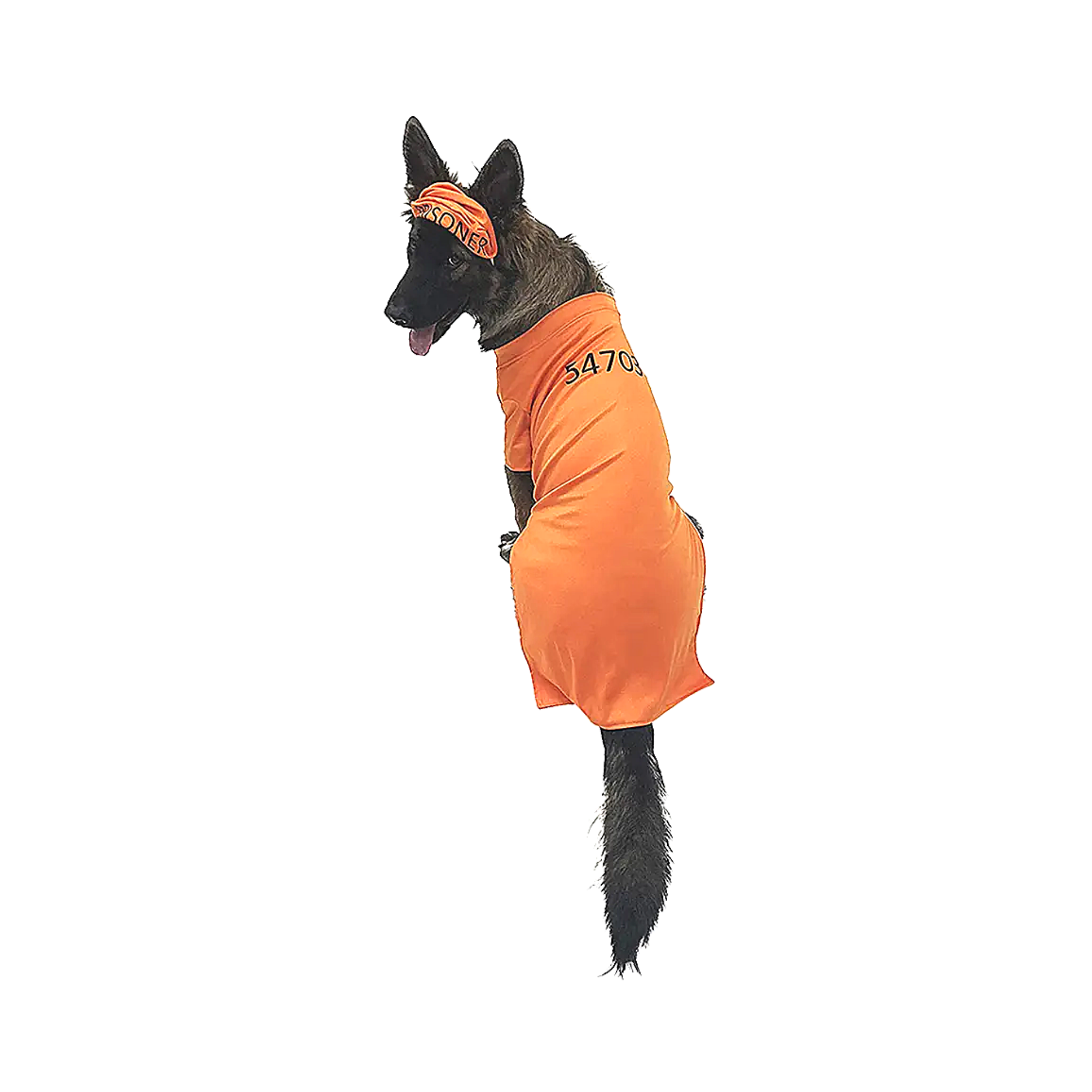 Midlee Designs - Midlee Orange Prisoner Costume: Medium