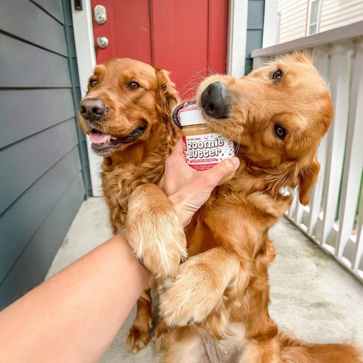 A bark above treats llc - Zoomie Butter: Hip & Joint