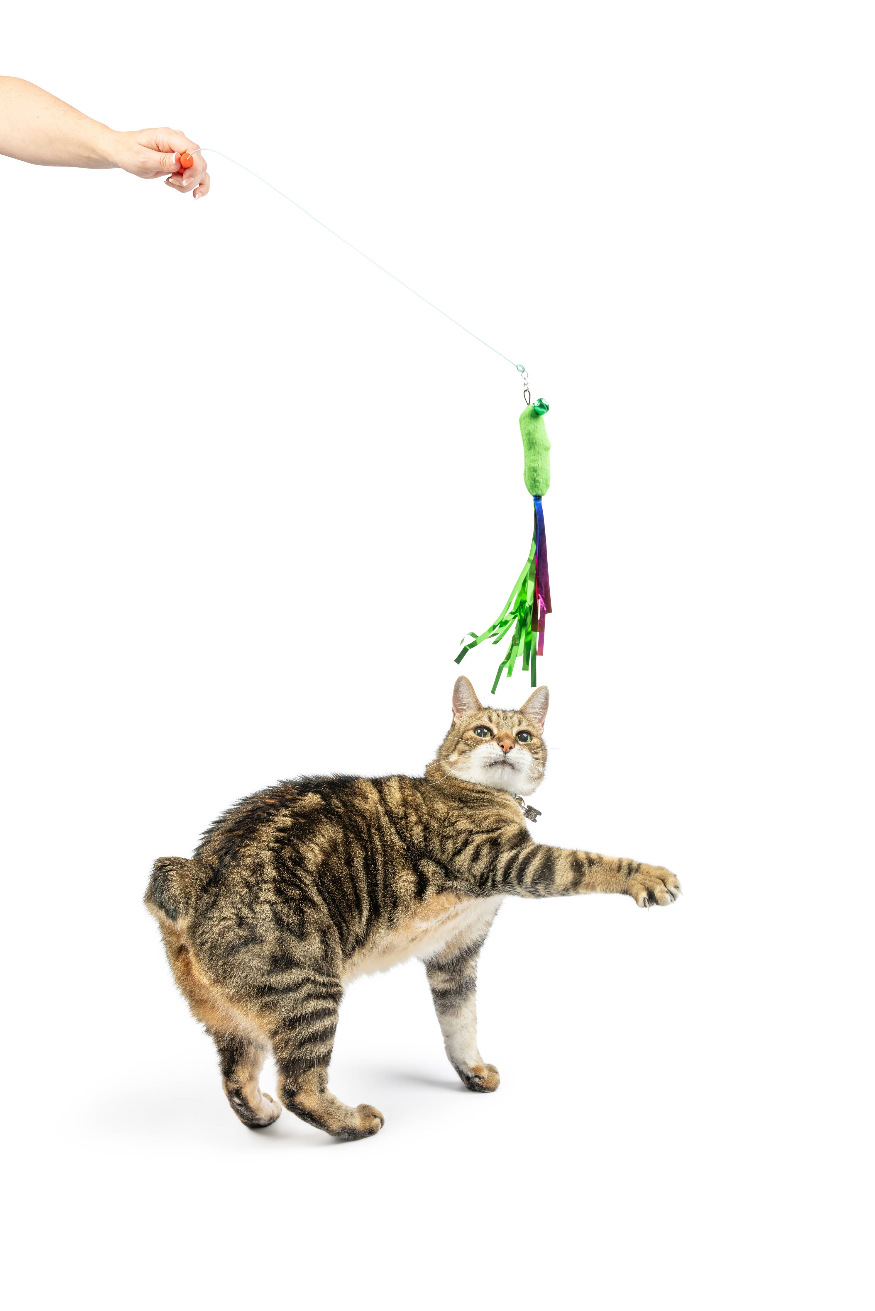 Huxley & Kent - Snacky Teasers 3pk Refill Cat Toy: One Size