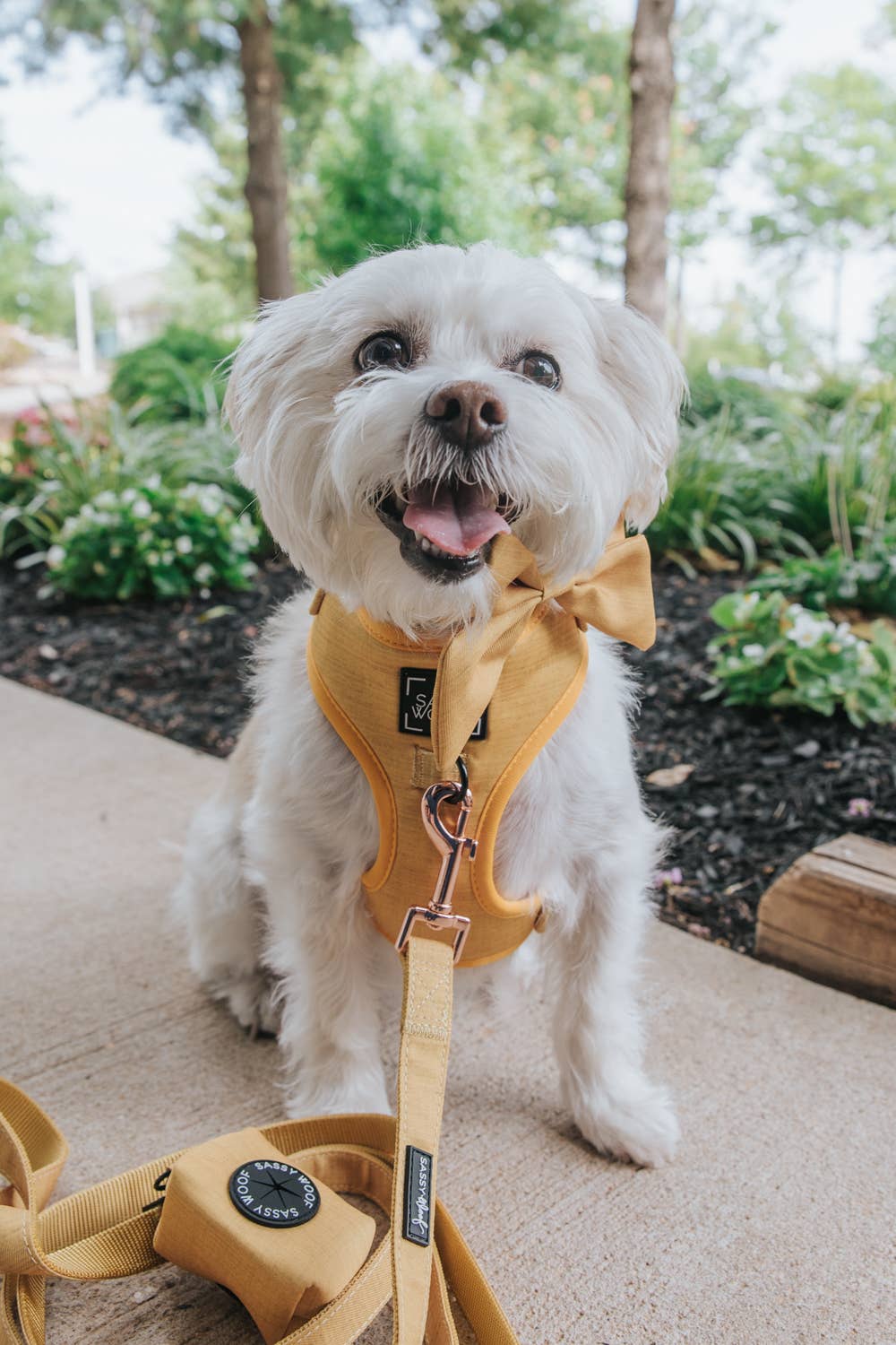 SASSY WOOF - Dog Sailor Bow - Sunflower Fields