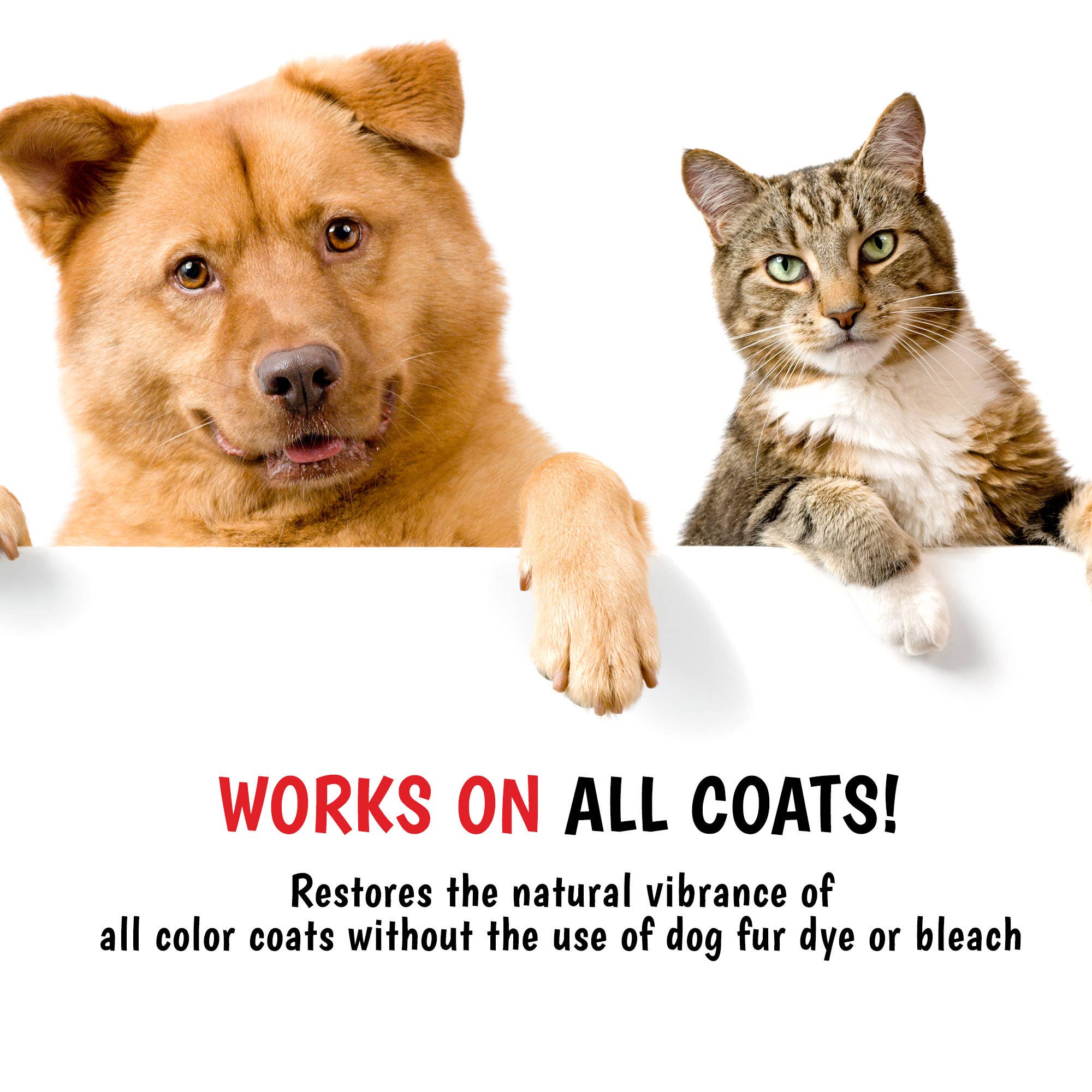 Magic Black Brightening Dog Shampoo: 17oz