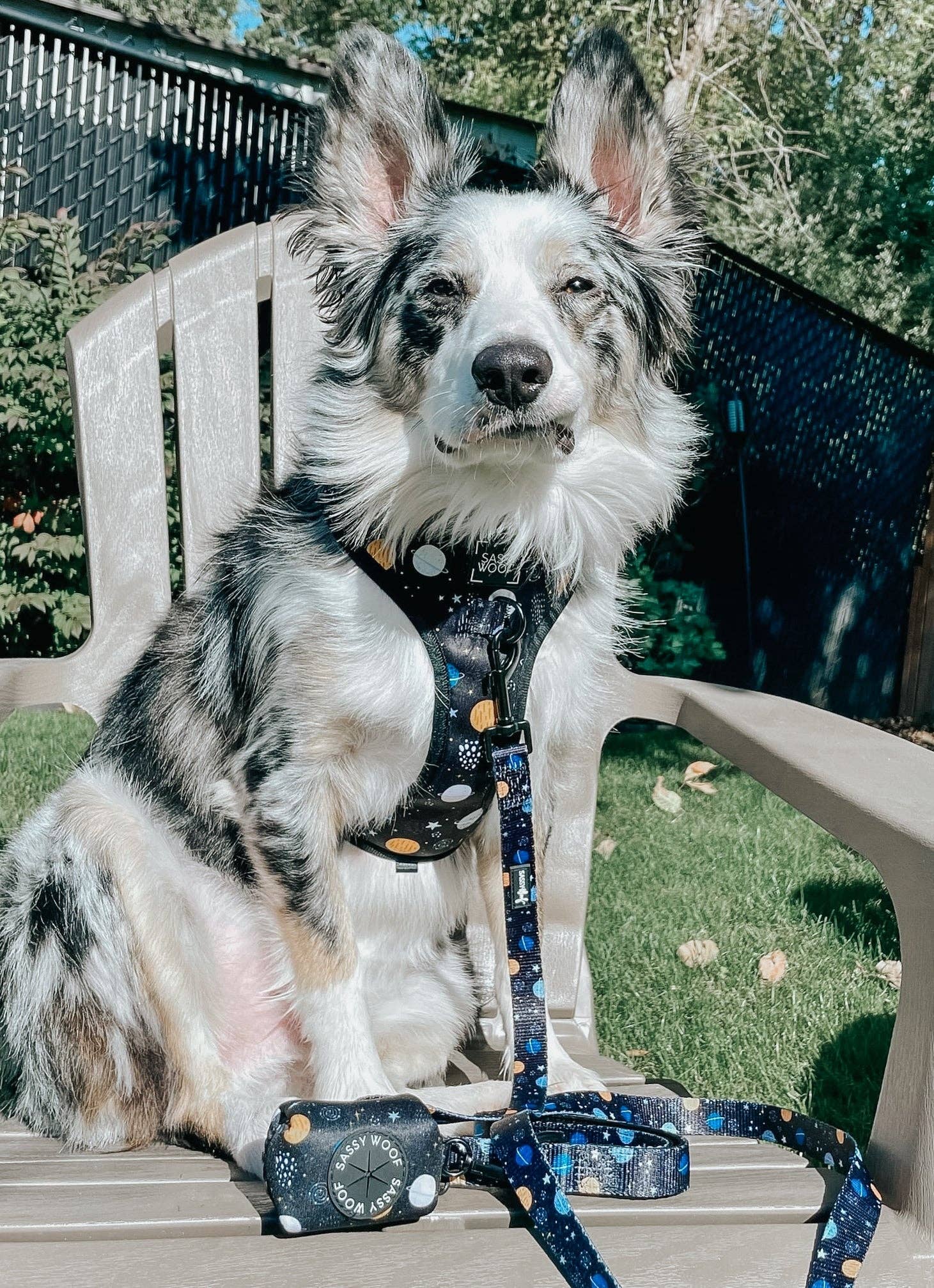 SASSY WOOF - Dog Adjustable Harness - To the Stars and Beyond: XXSmall