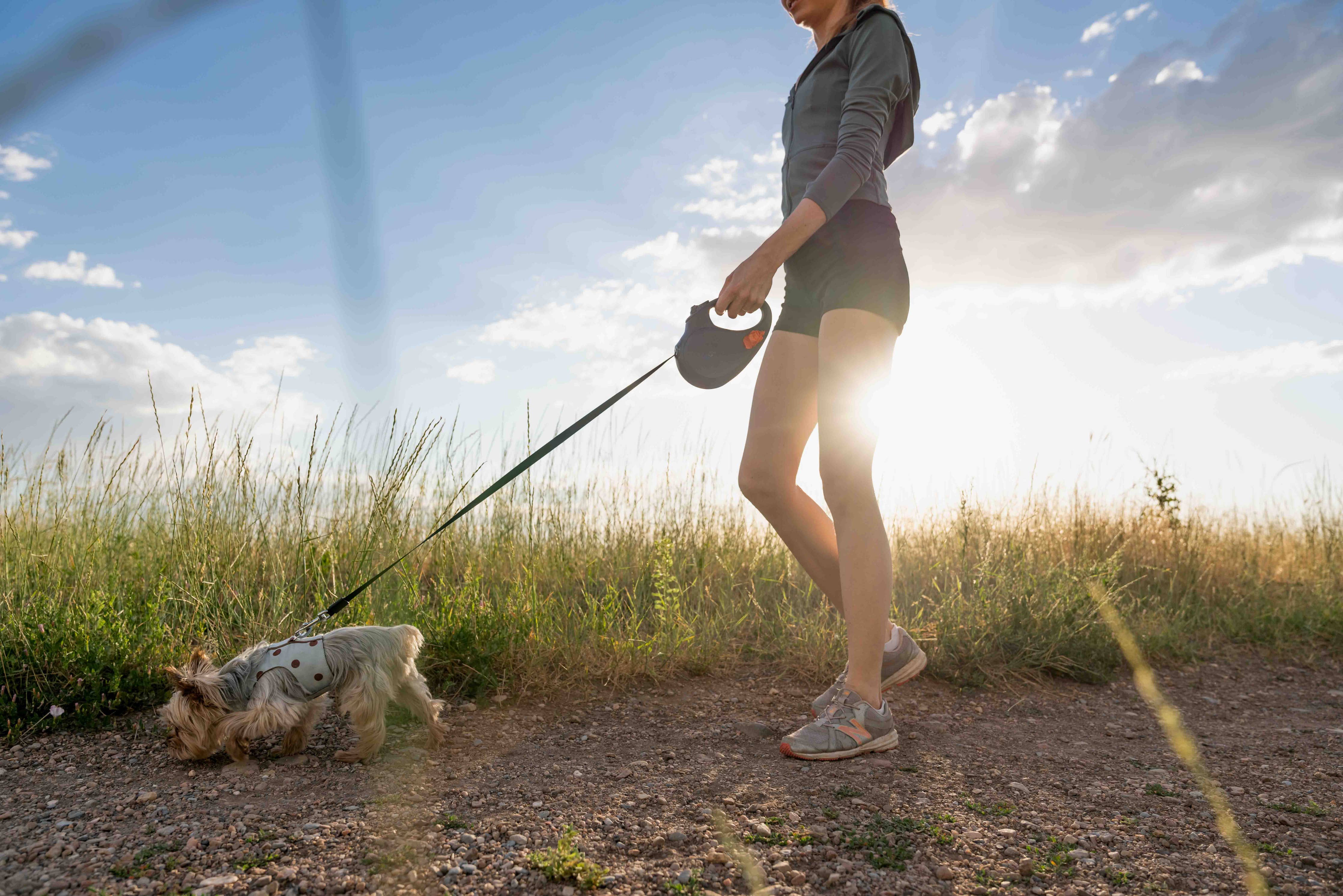 Tug Pet Products - TUG Retractable Dog Leash with Integrated Dispenser: Black / Medium