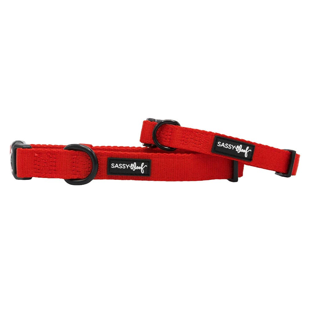 SASSY WOOF - Dog Collar - Neon Red: Large