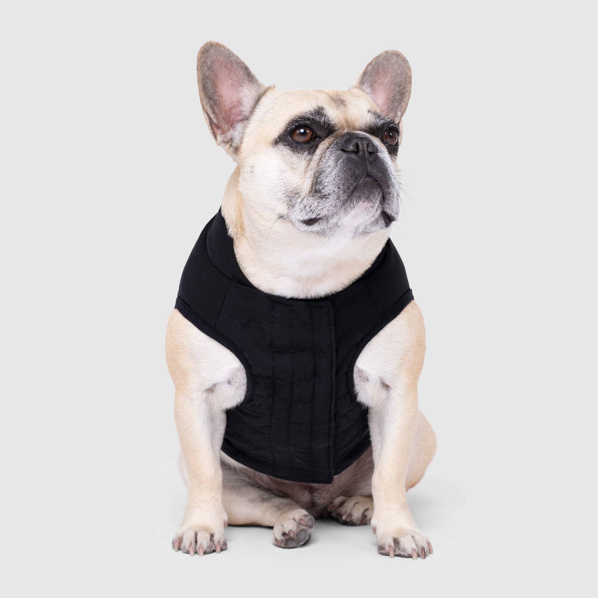 Canada Pooch - Ultimate Stretch Vest- Dog Coat: Black / 20+